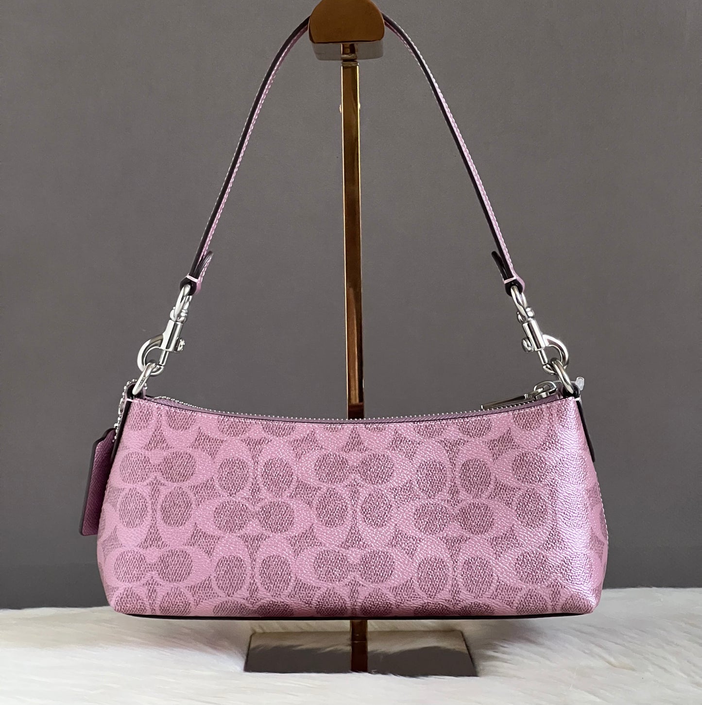 Coach Charlotte Shoulder Bag In Signature Canvas