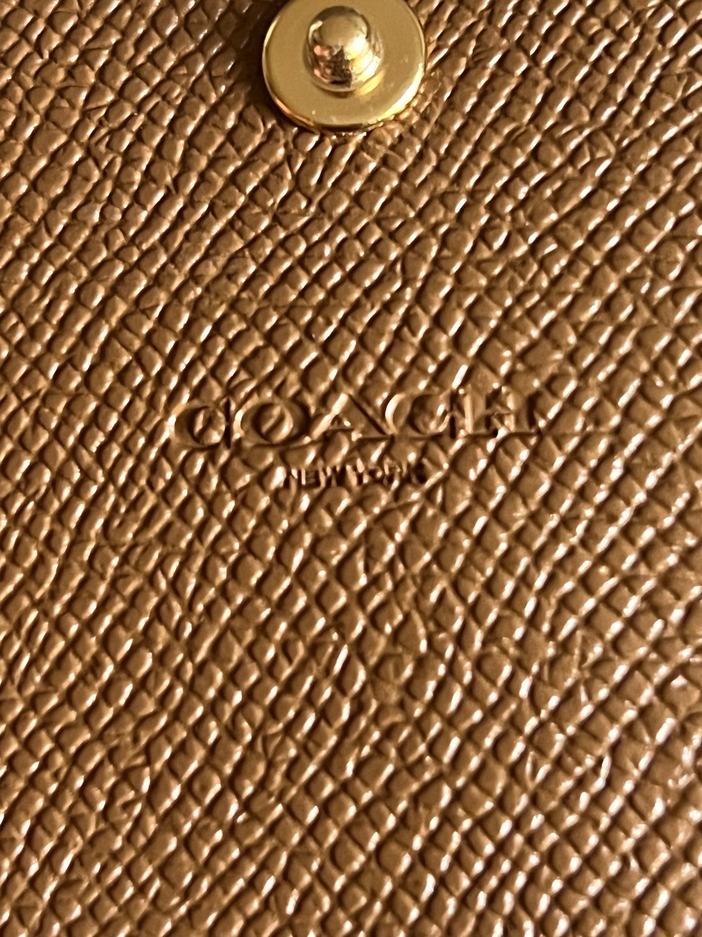 Coach Travel Envelope Wallet