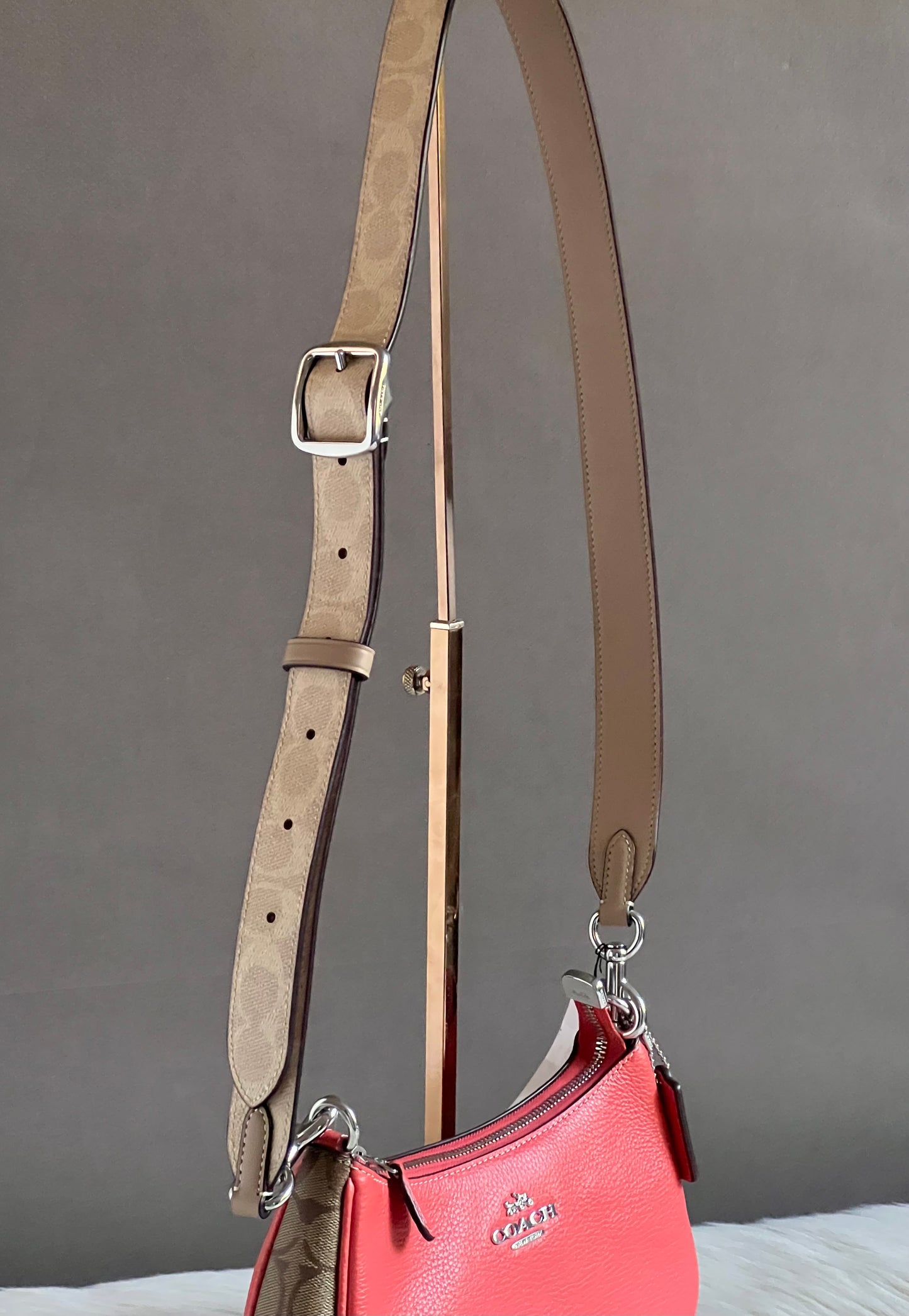 Coach Reversible Strap In Signature Canvas