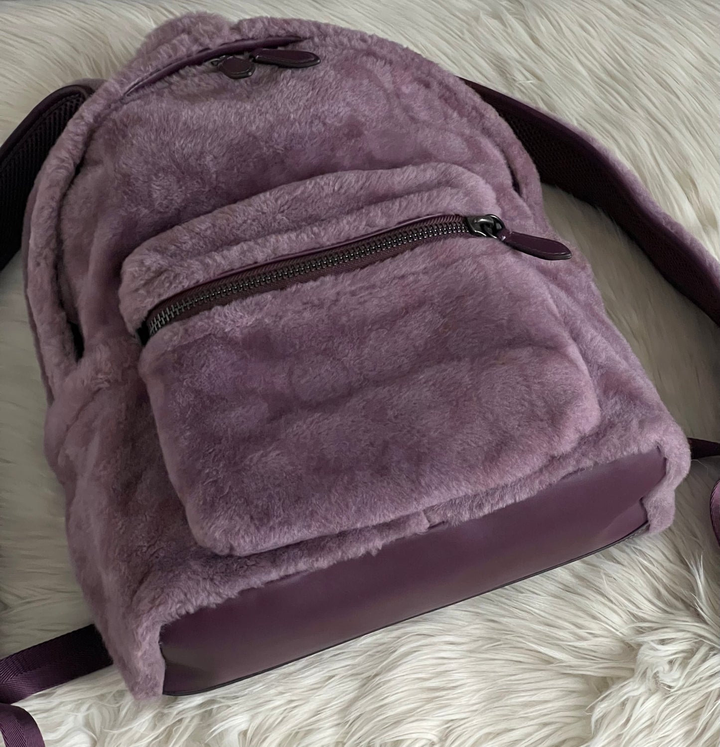 Coach Charter Backpack In Signature Shearling