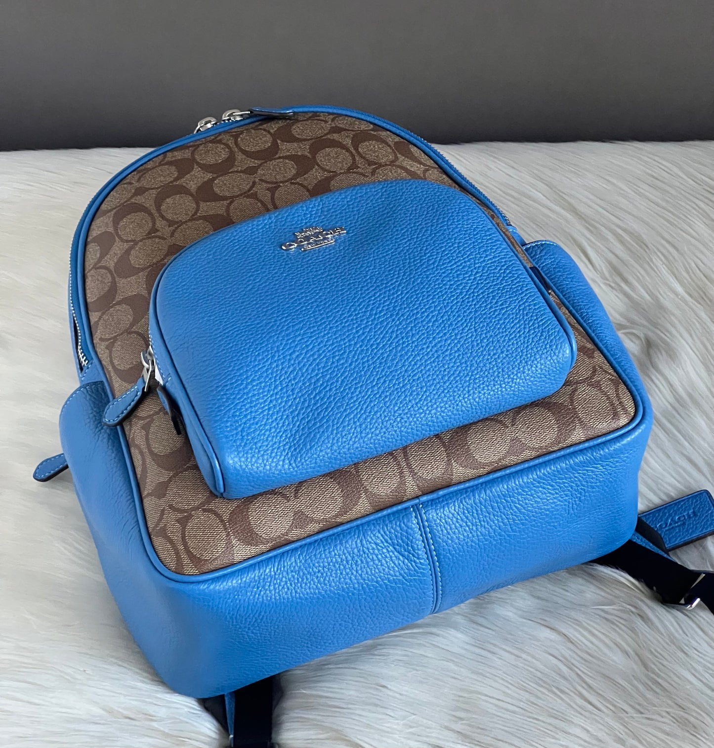 Coach Court Backpack In Signature Canvas