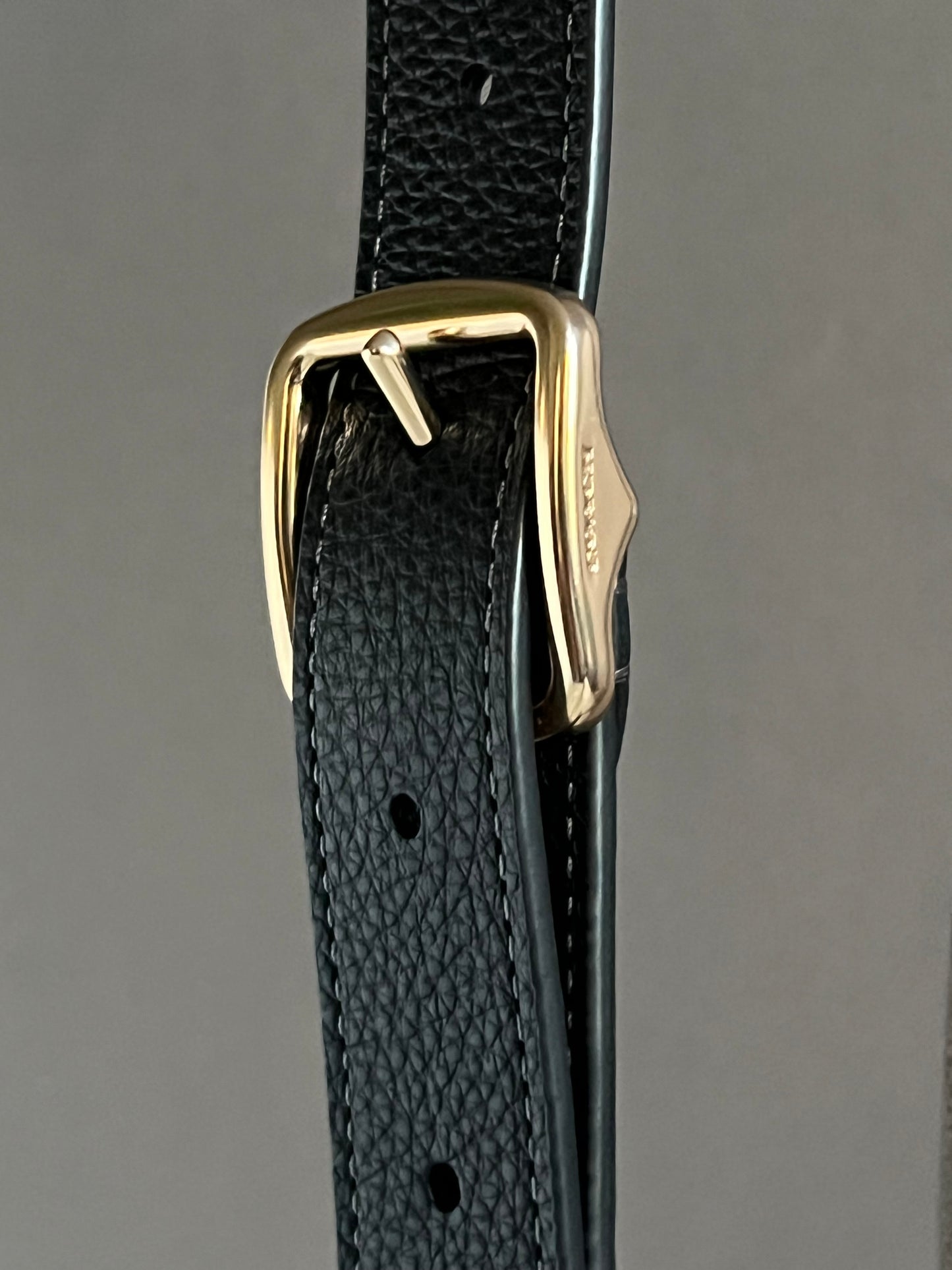 Coach Reversible Strap