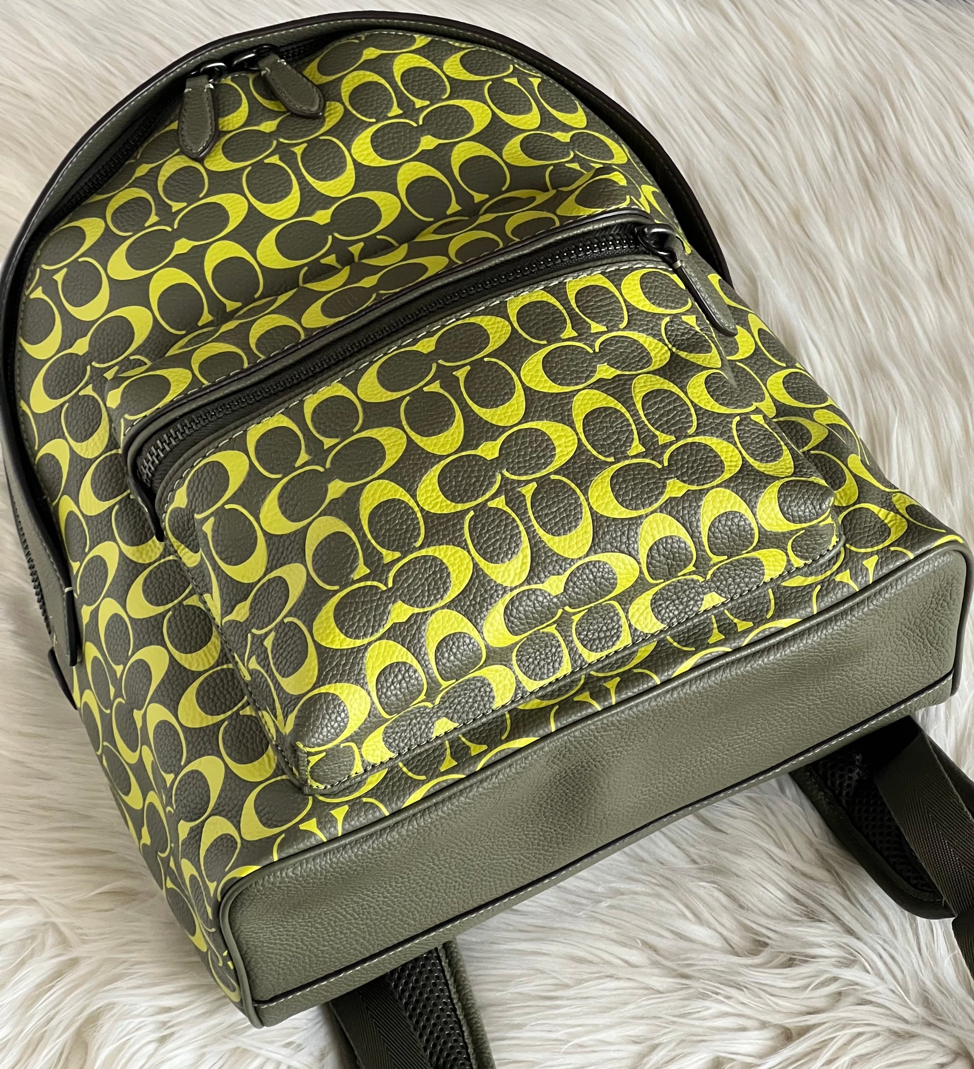 Coach Charter Backpack In Signature Leather – Club de Mode