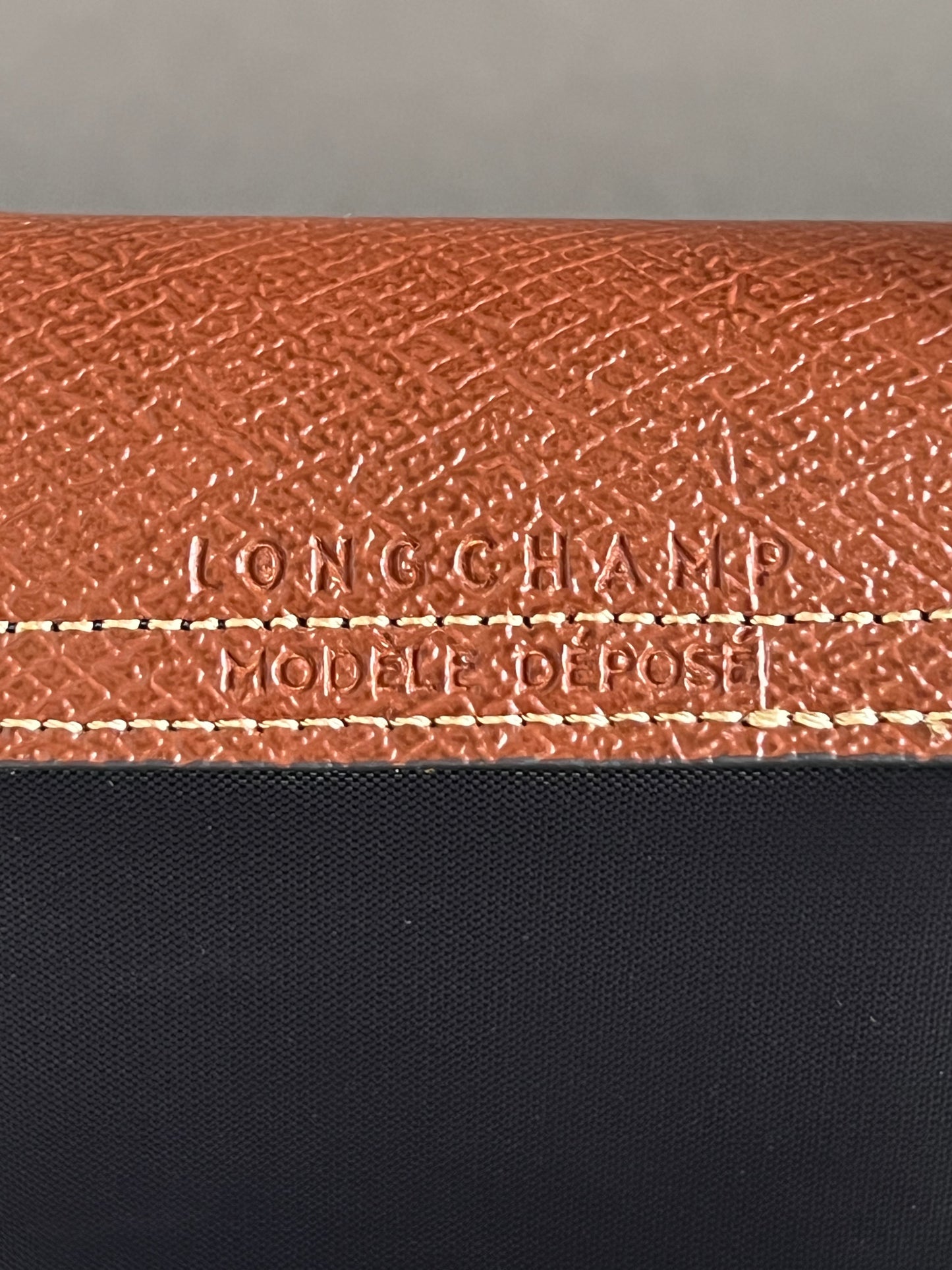 Longchamp XS Le Pliage Original Pouch with Strap
