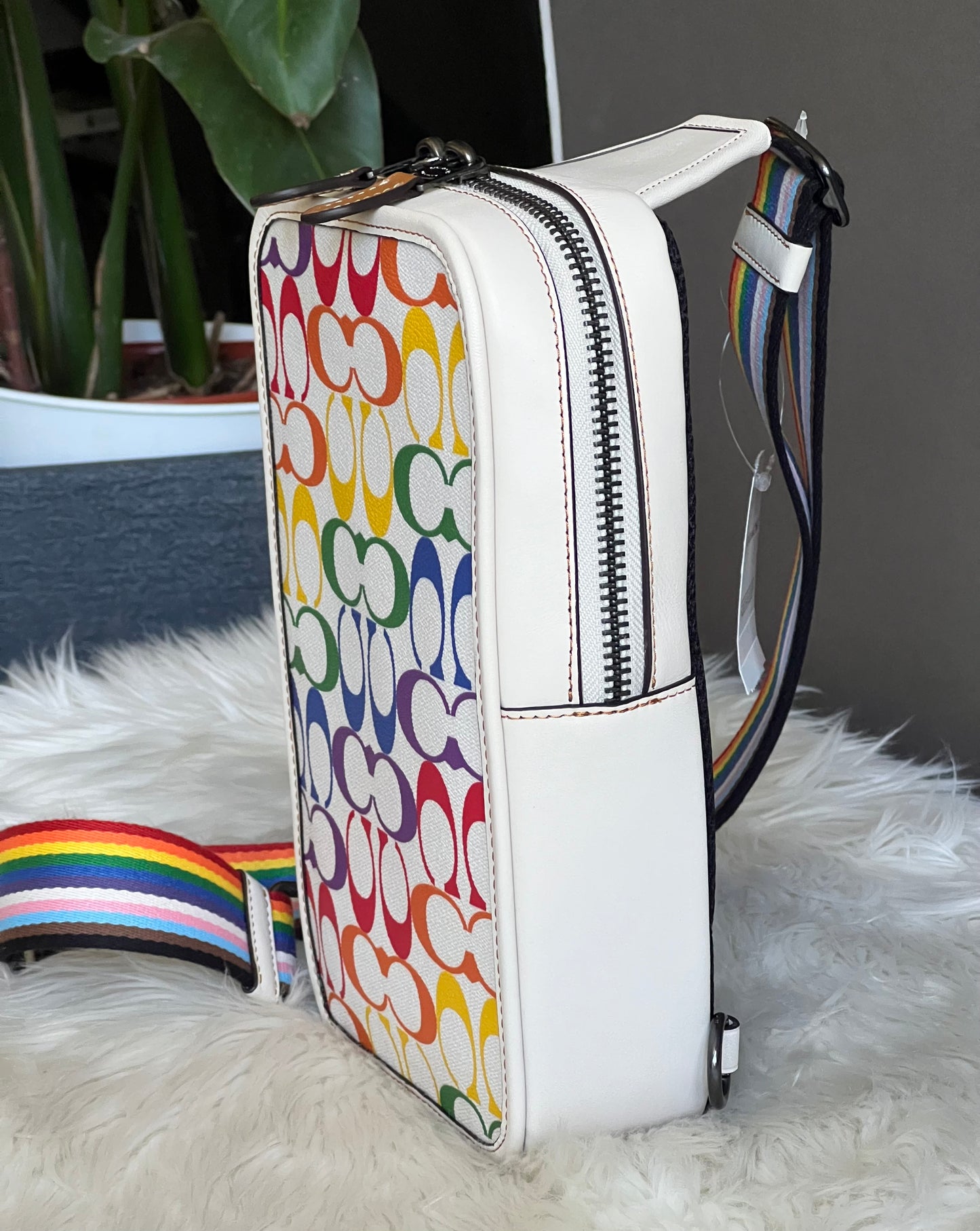 Coach Sullivan Pack in Rainbow Signature Canvas