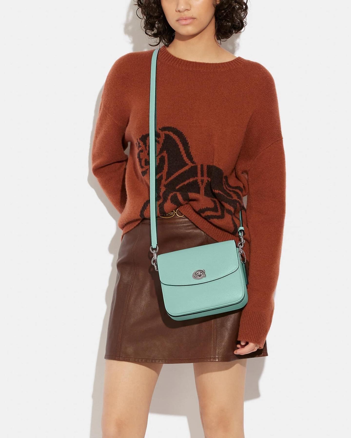 Cassie crossbody bag online coach