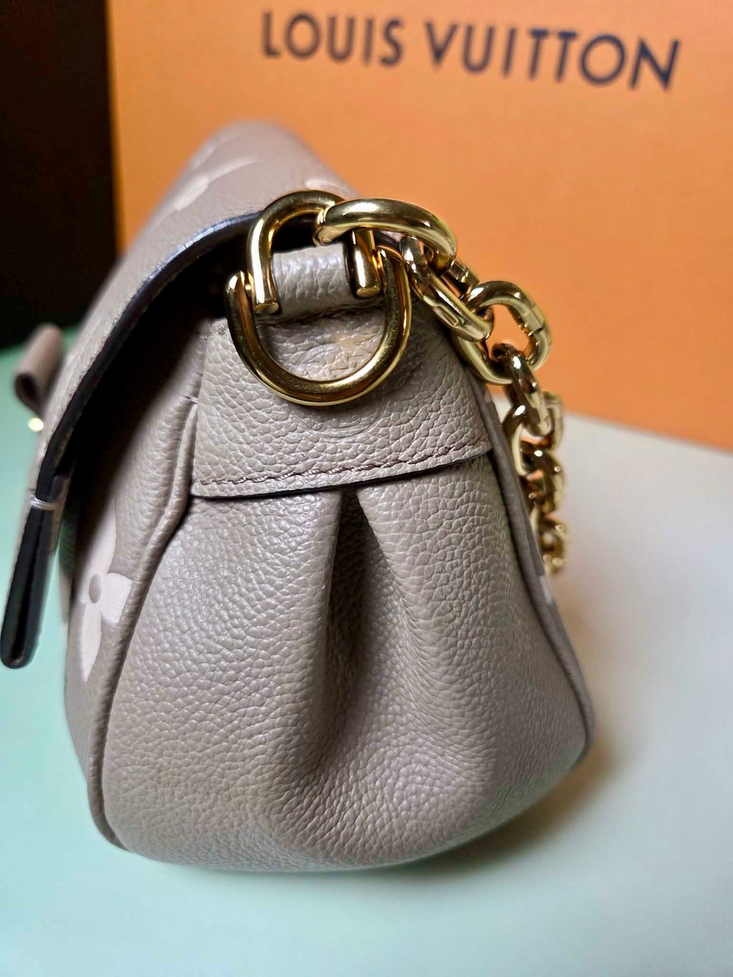 Louis Vuitton Favorite