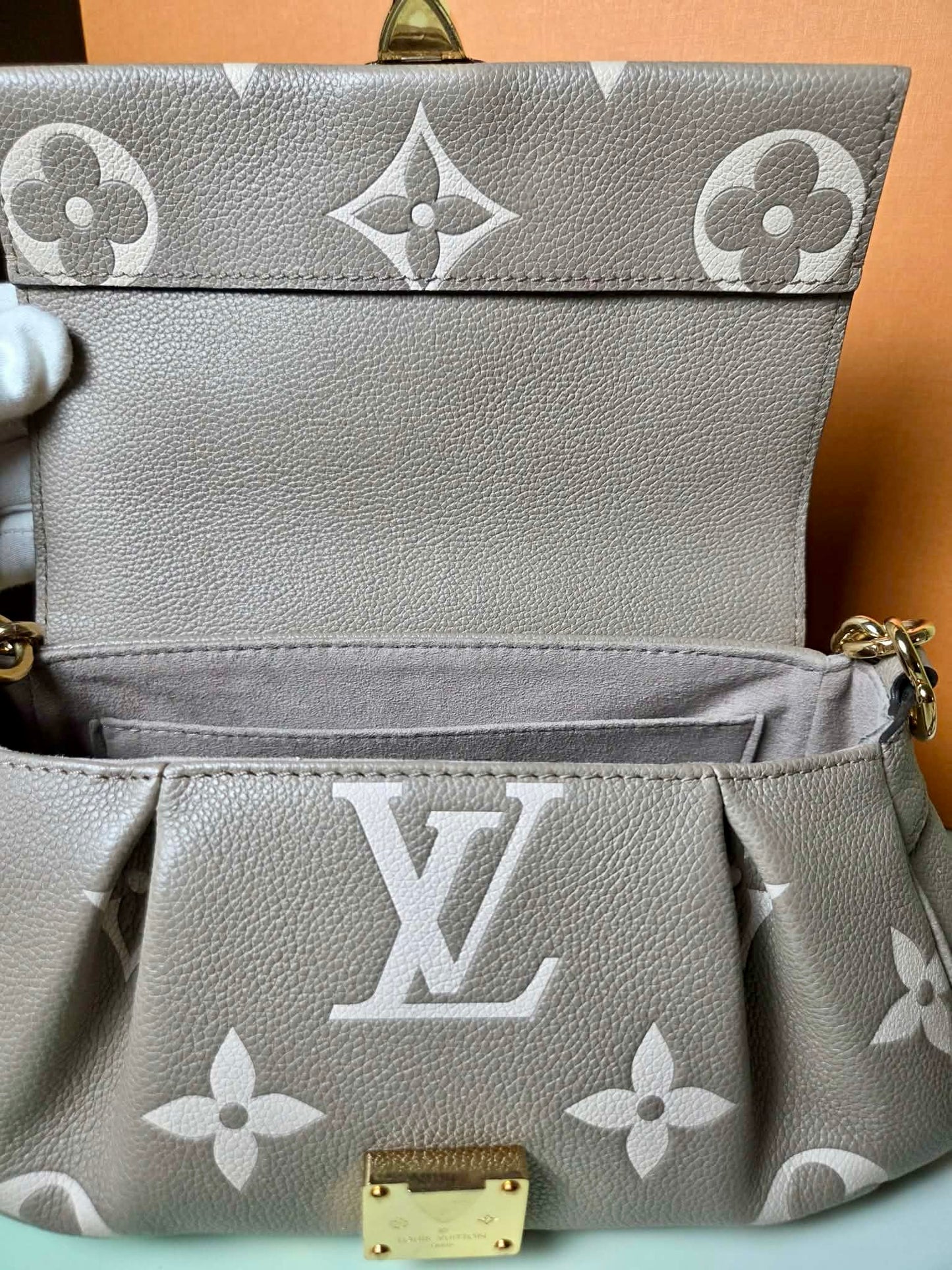 Louis Vuitton Favorite