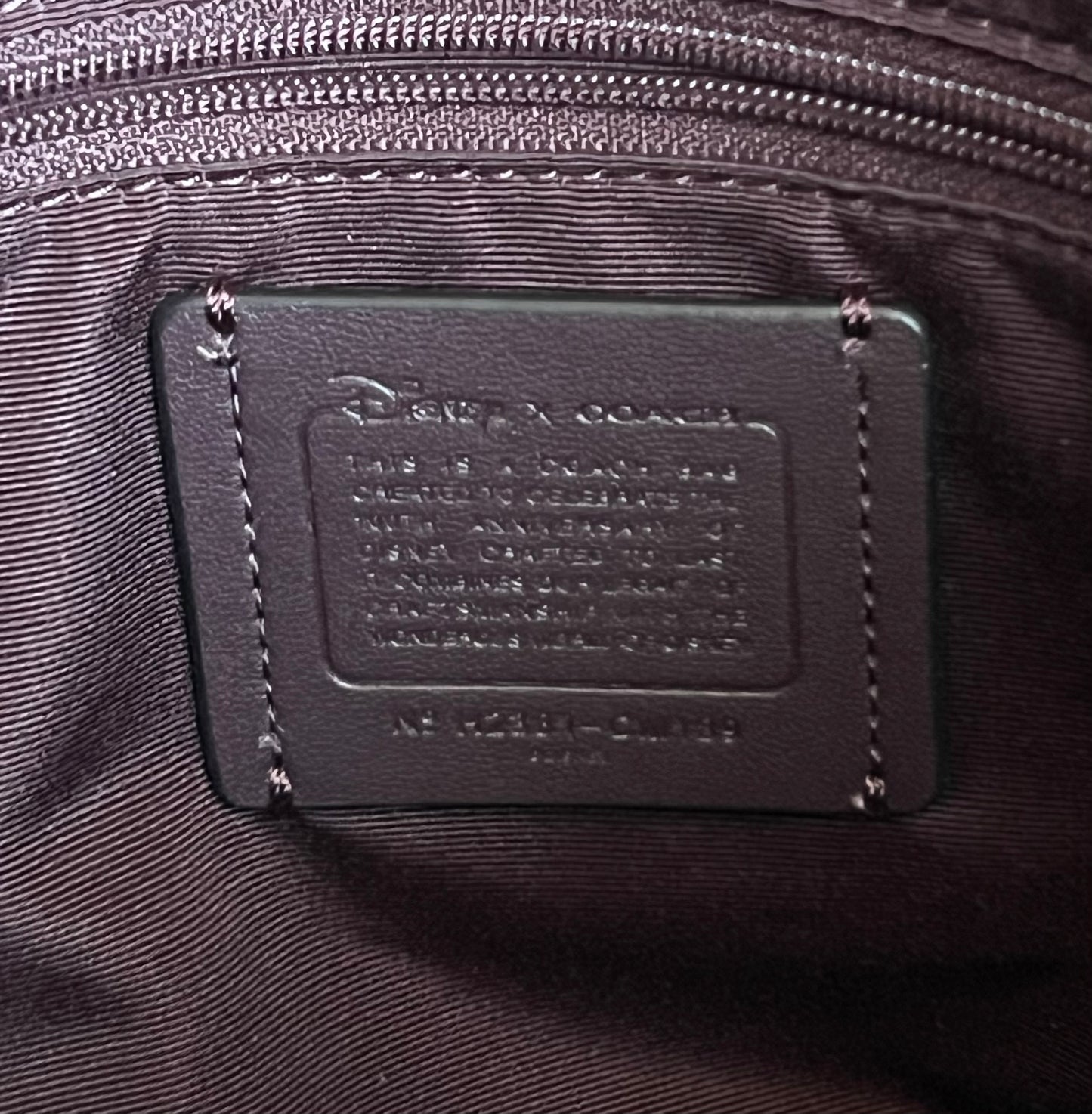 Disney X Coach Gallery Tote