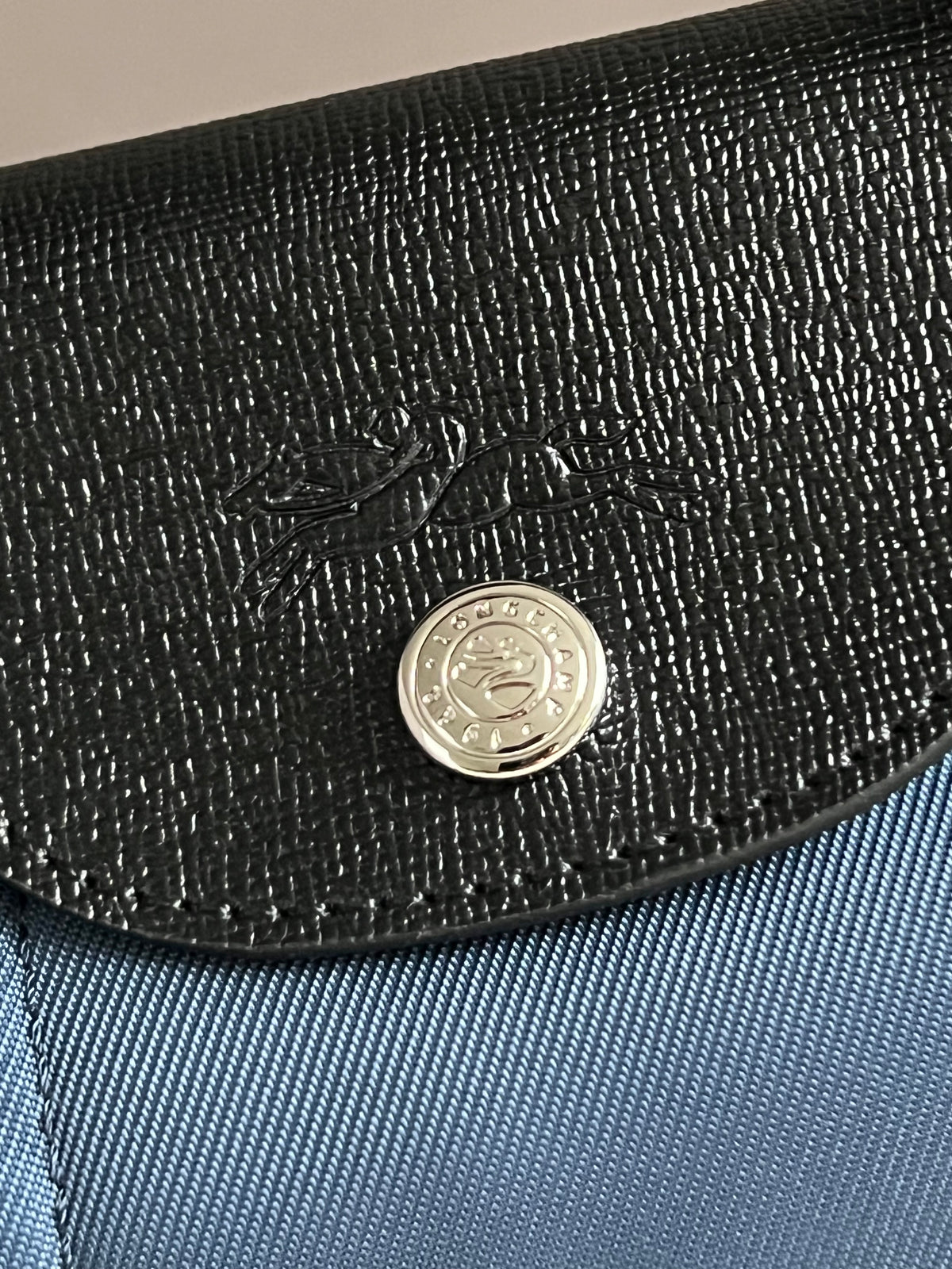 Longchamp Le Pliage Energy XS Handbag