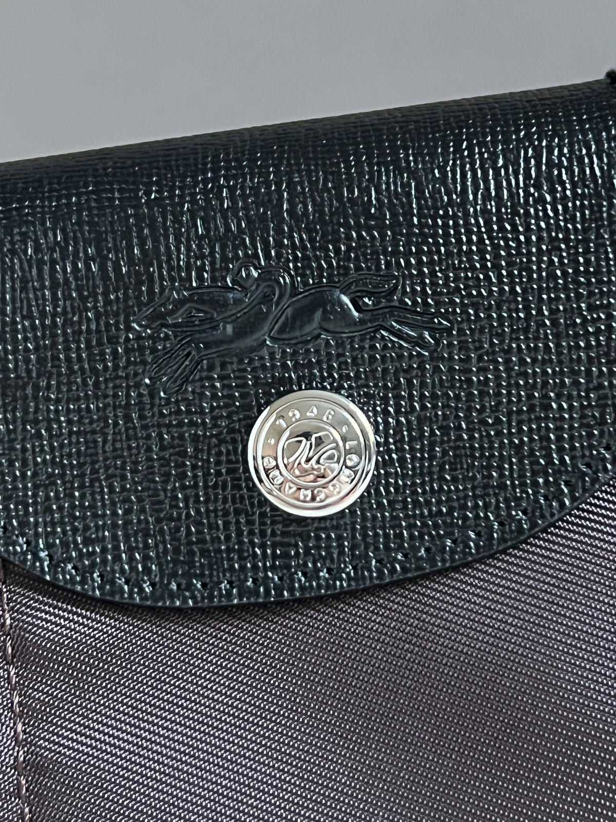 Longchamp Le Pliage Energy XS Handbag