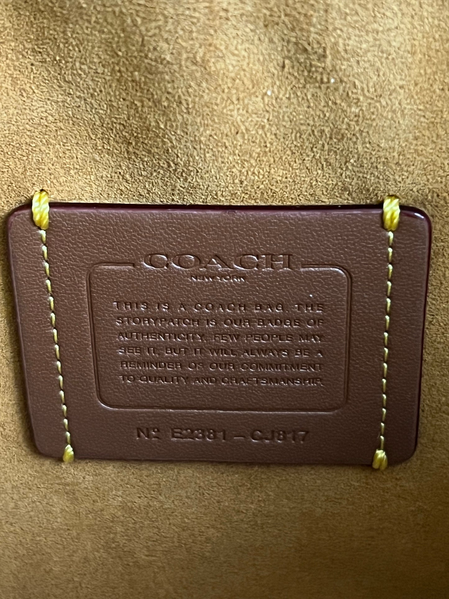 Coach Soft Tabby Shoulder Bag with Braid