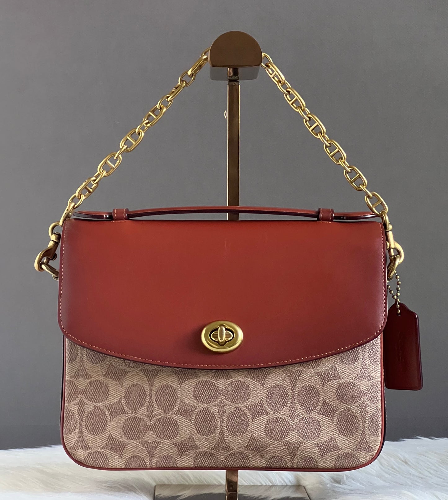 Coach Metal Chain Strap
