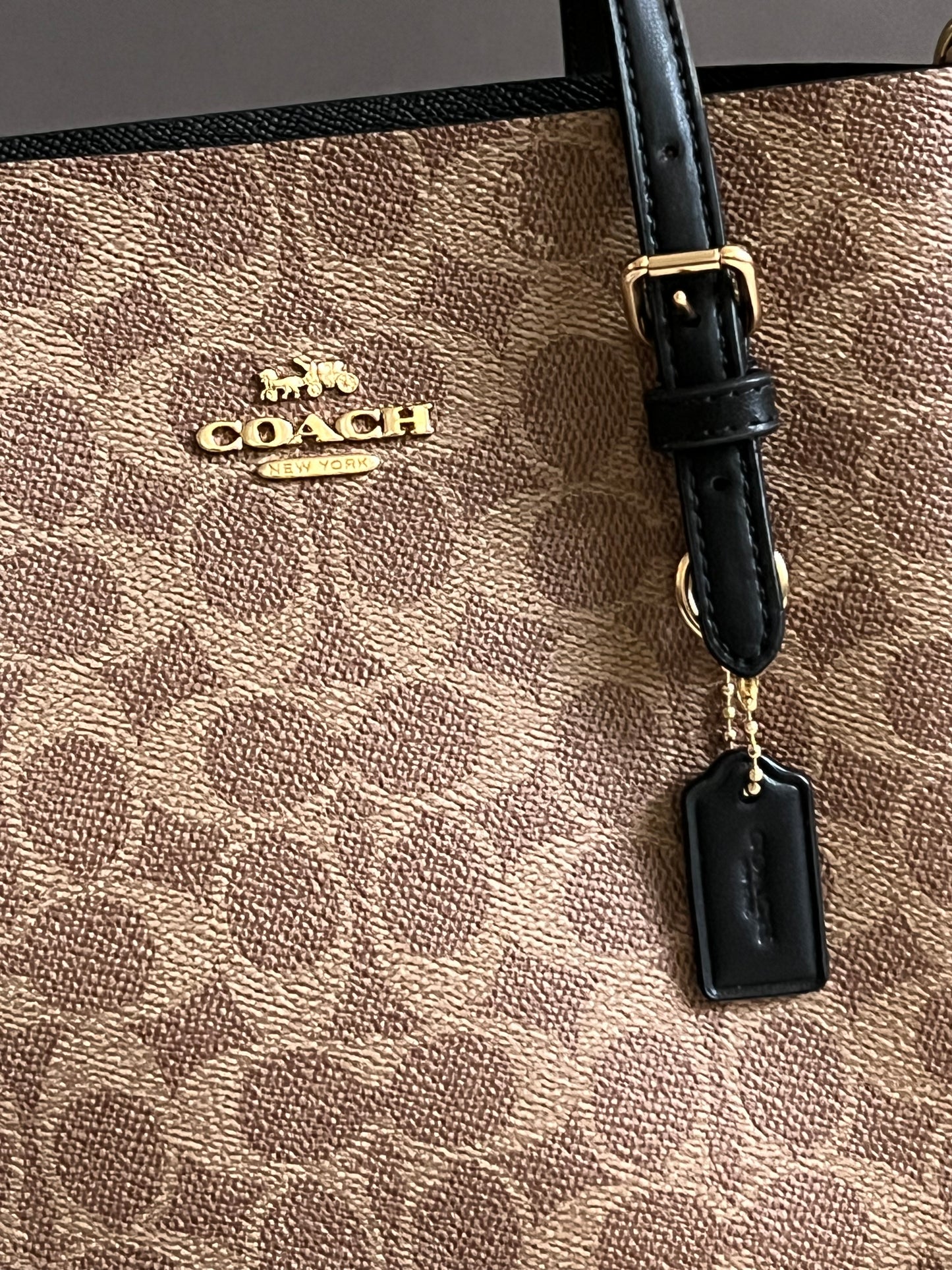 Coach Mollie Tote Bag 25 in Signature Canvas