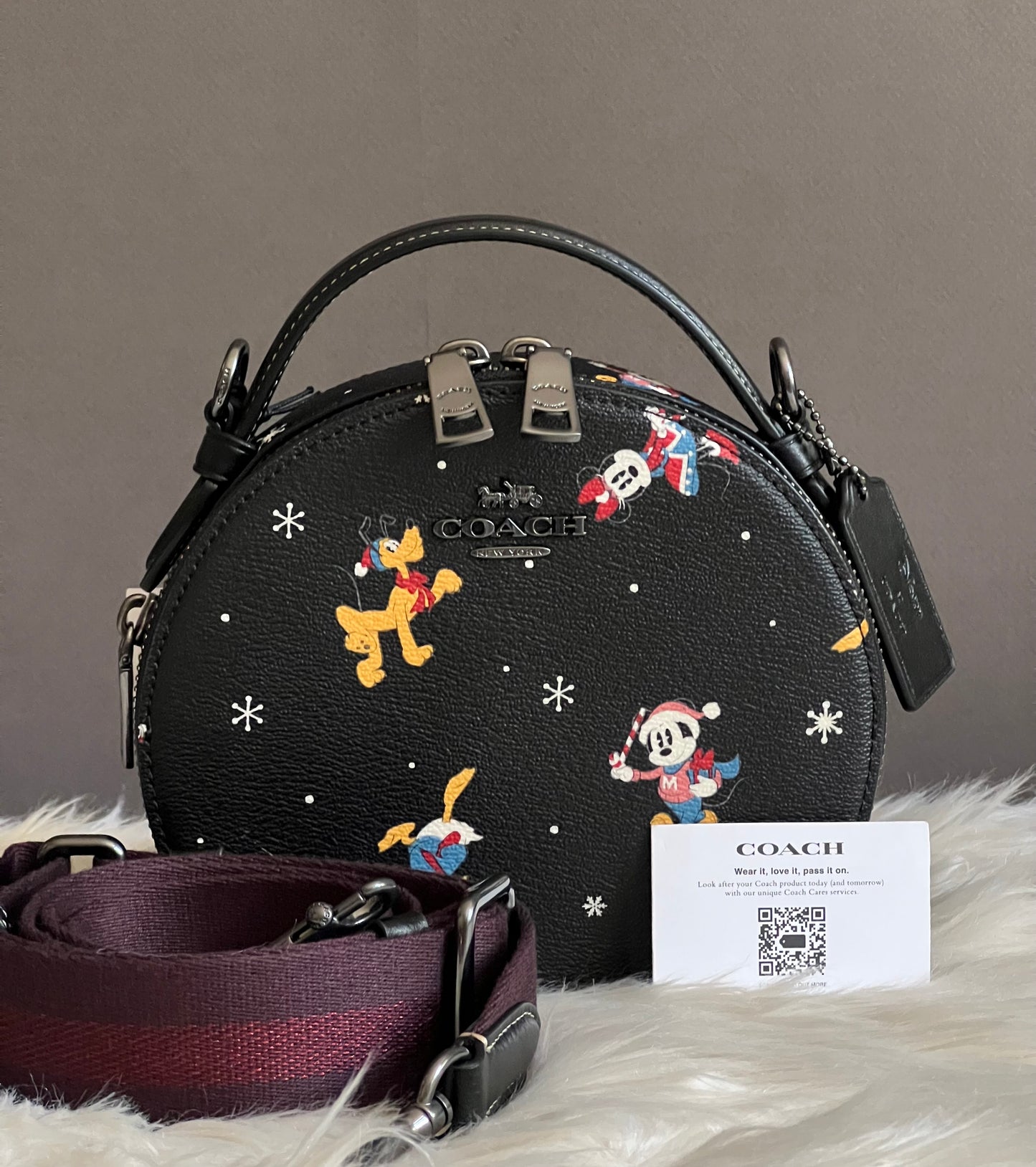 Disney X Coach Canteen Crossbody with Holiday Print