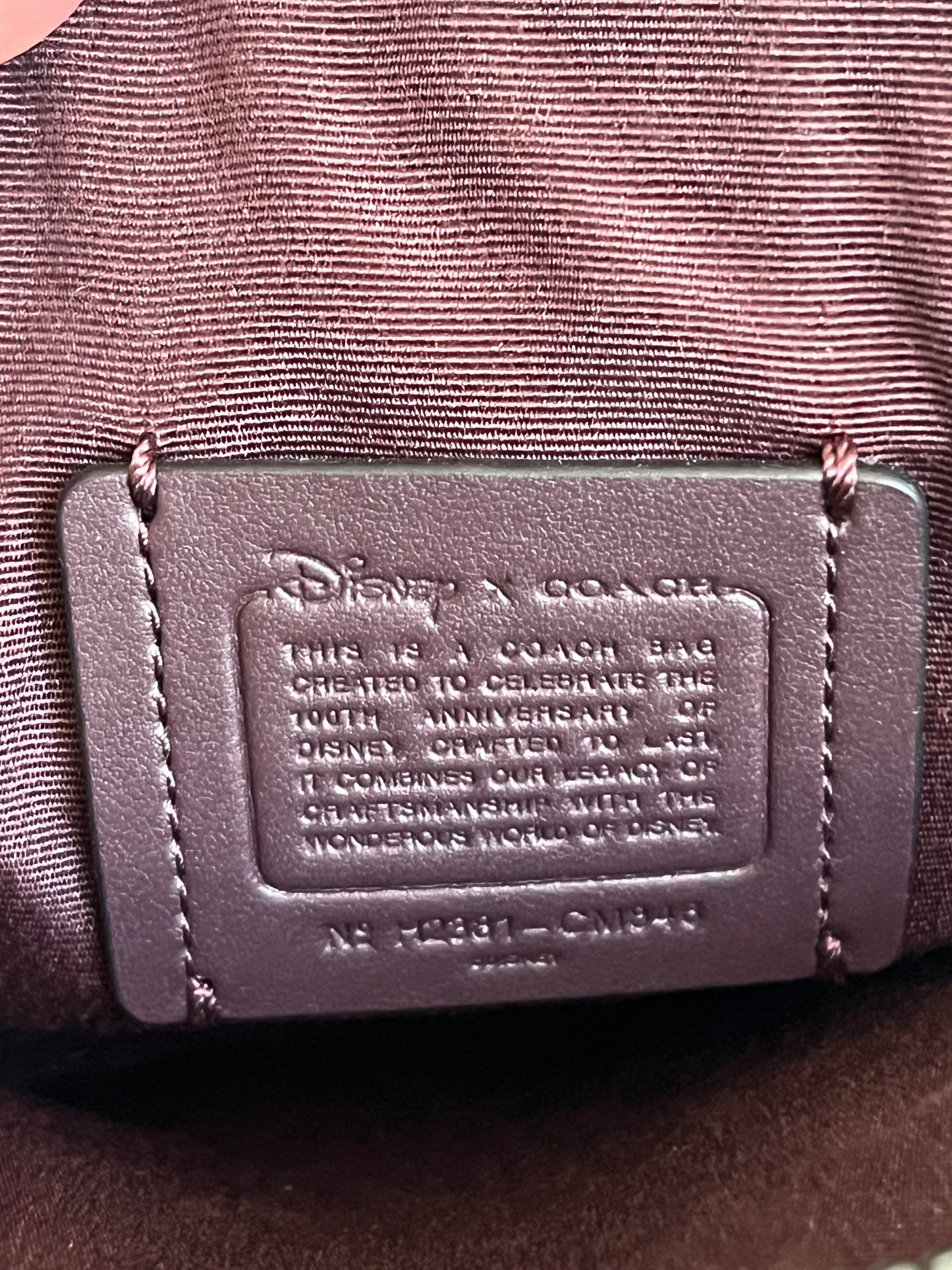 Disney X Coach Canteen Crossbody with Holiday Print