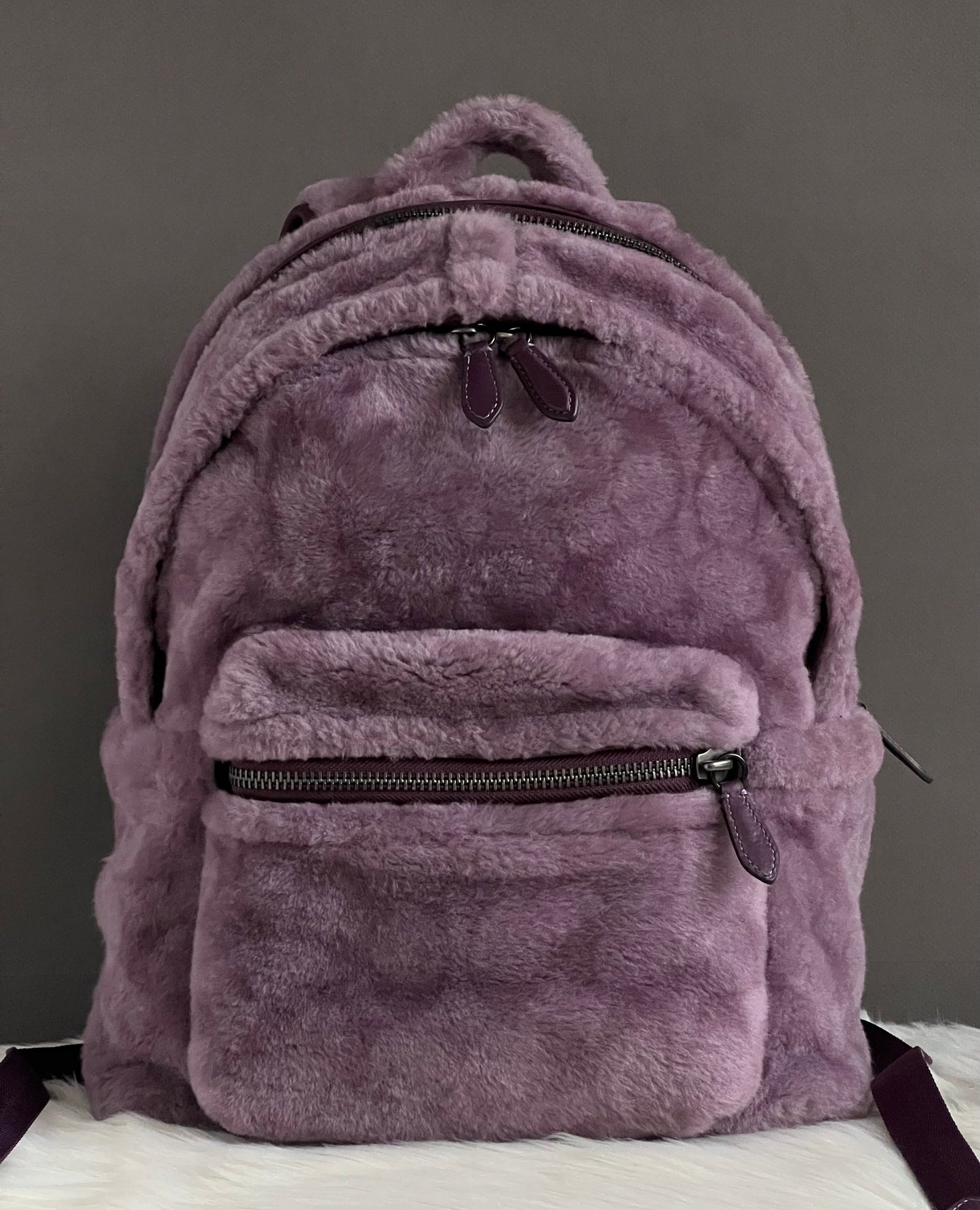 Coach Charter Backpack In Signature Shearling