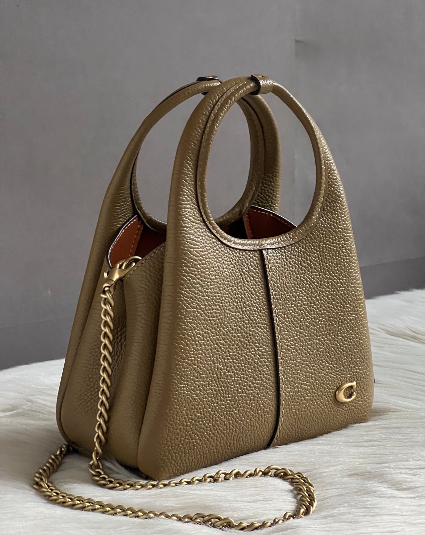 Coach Lana Shoulder Bag 19