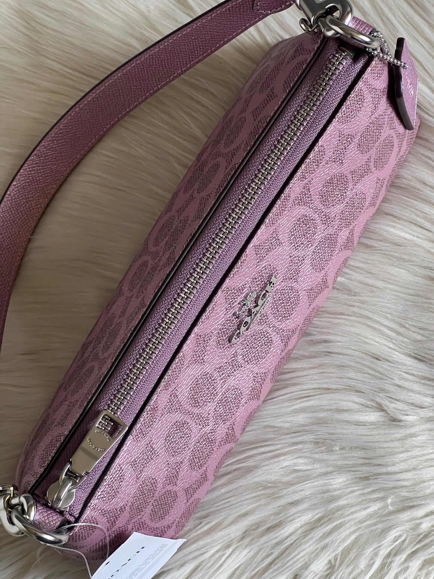 Coach Charlotte Shoulder Bag In Signature Canvas