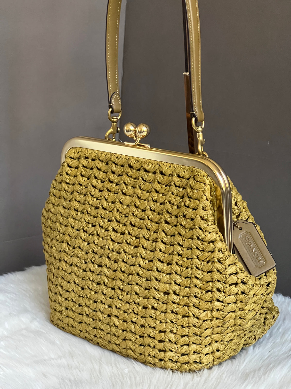 Coach Kisslock Frame Bag 27
