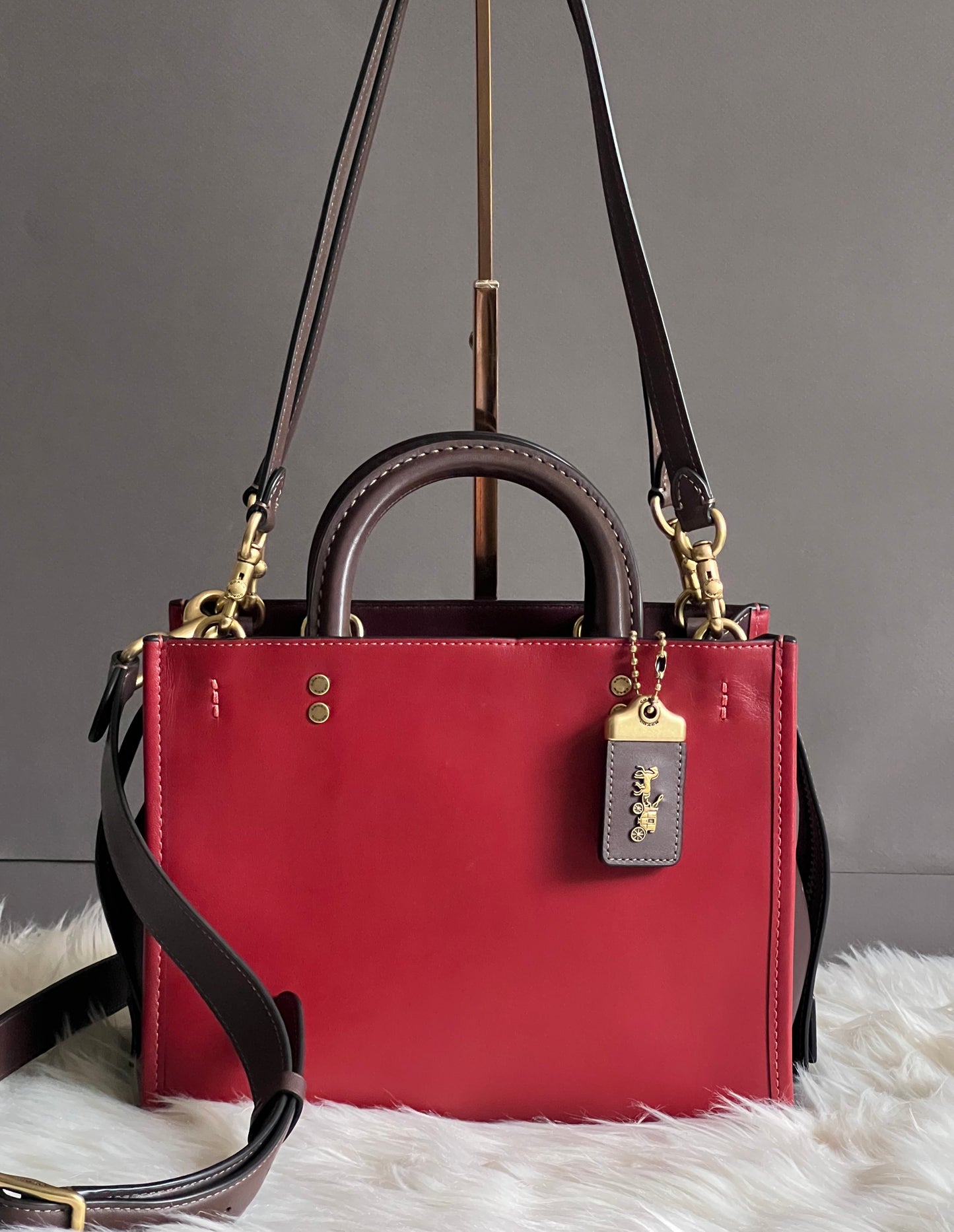 Coach Rogue 25 in Colorblock