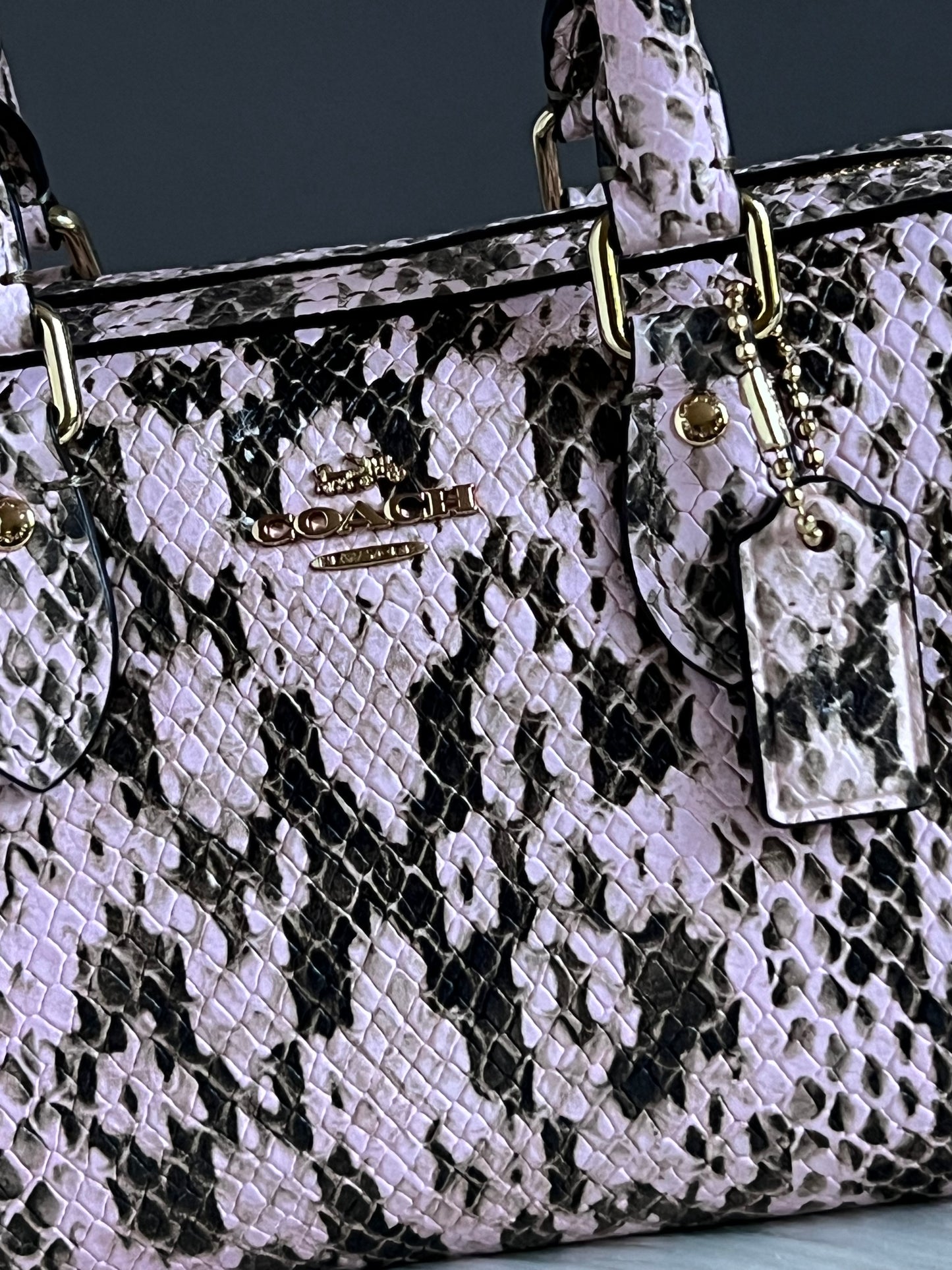 Coach Mini Rowan Crossbody Bag