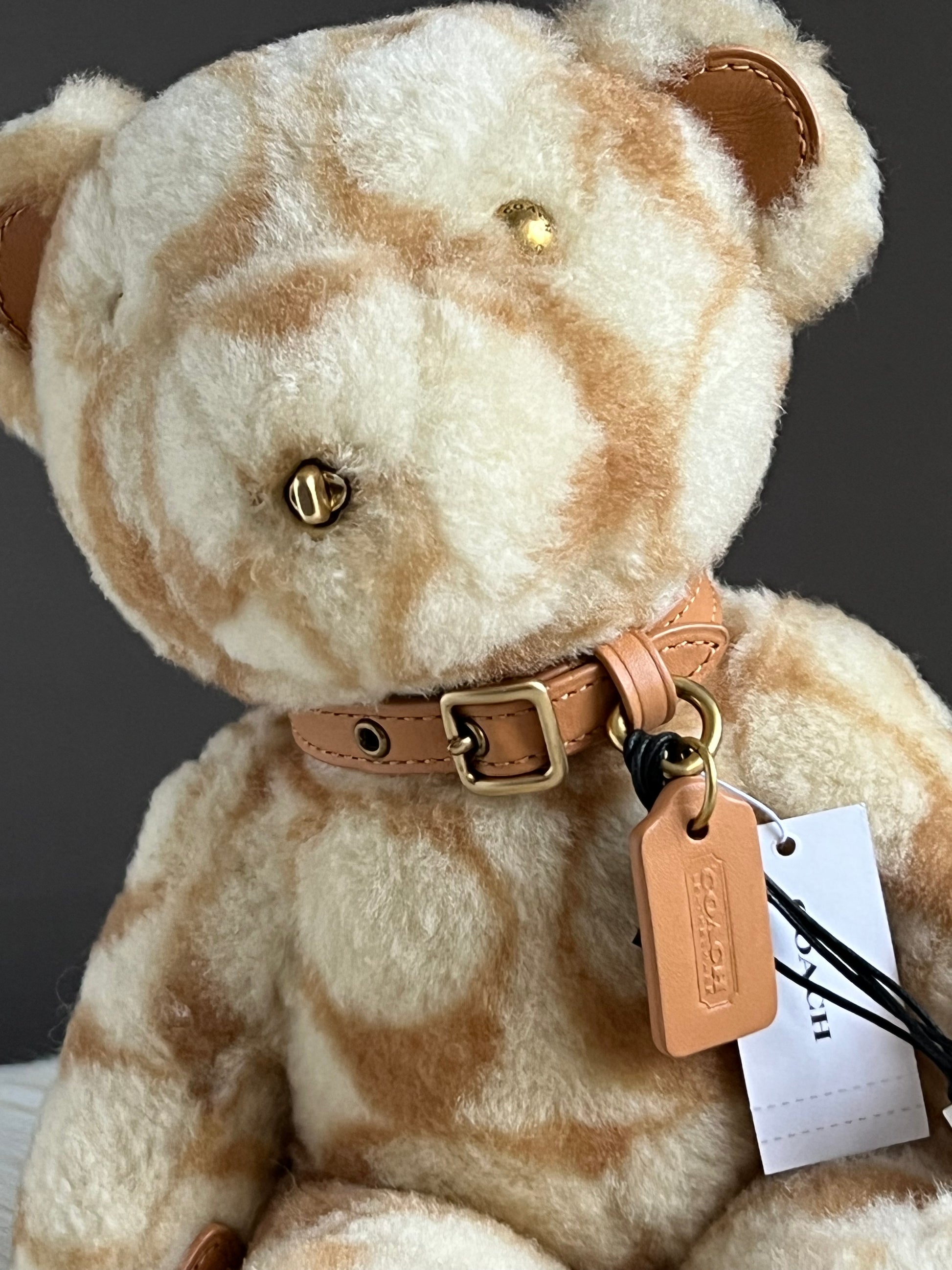 coach bear backpack Signature 15" Collectible Limited Edition : Toys & Games And Screen Settings Coach Bear Collectible in Signature