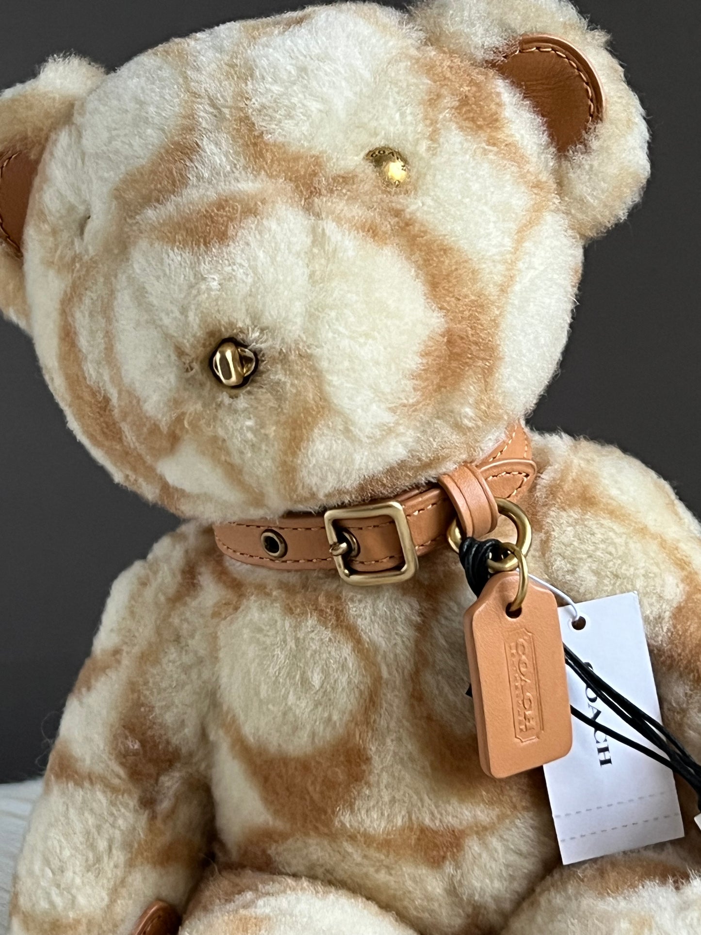 Coach Bear Collectible in Signature Shearling