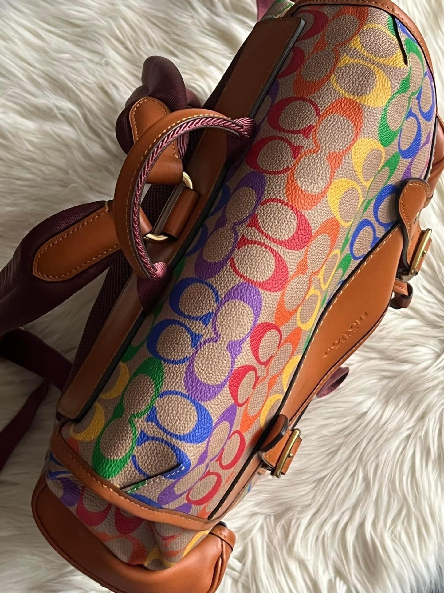 Coach Hitch Backpack in Rainbow Signature Canvas