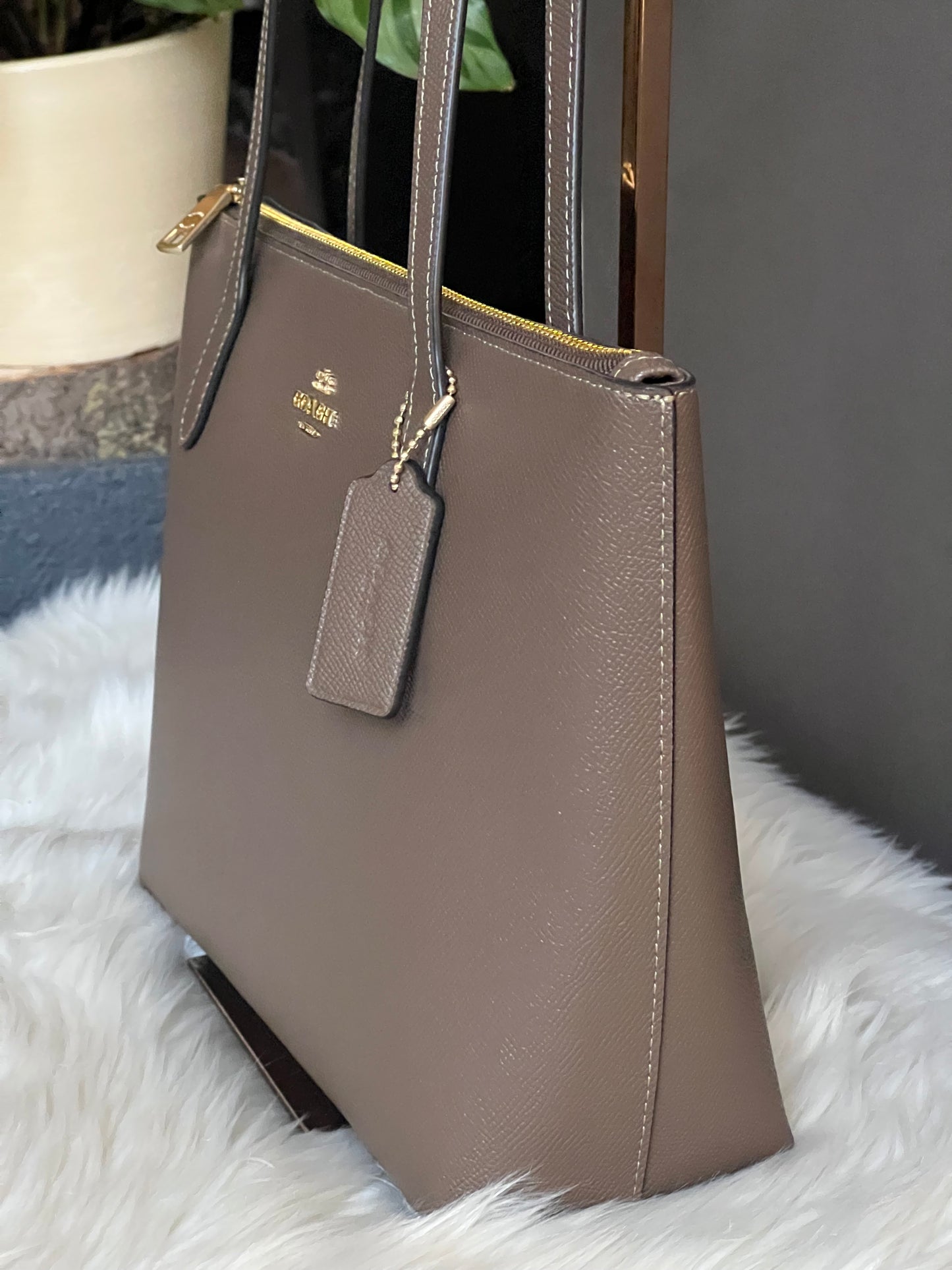 Coach Fiona Zip Tote Bag