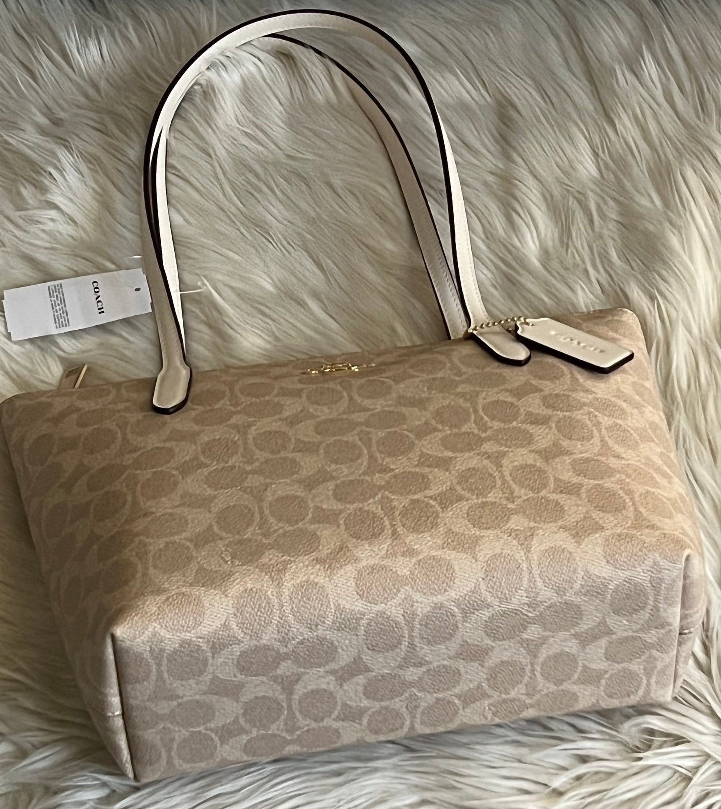 Coach Fiona Zip Tote Bag in Signature Canvas