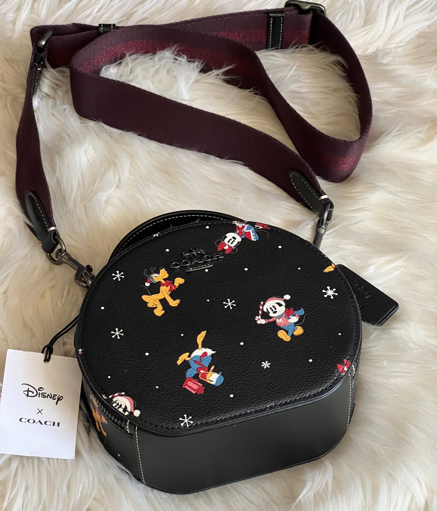 Disney X Coach Canteen Crossbody with Holiday Print