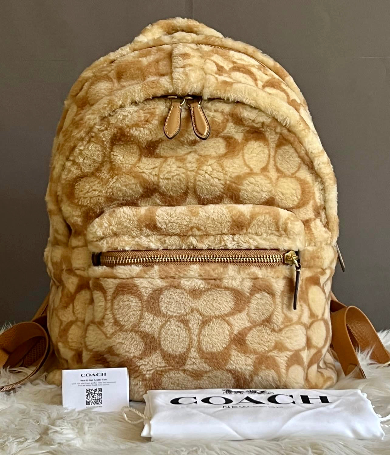 Coach Charter Backpack In Signature Shearling