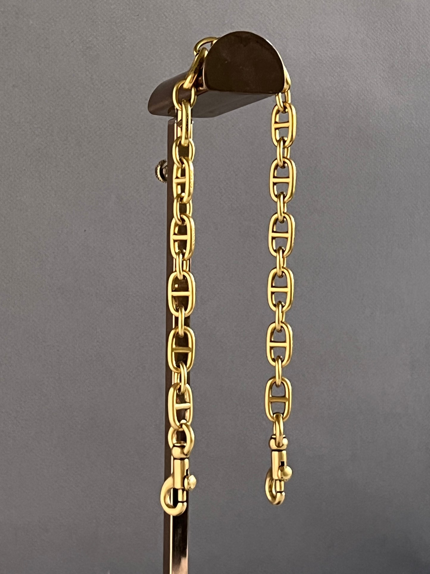 Coach Metal Chain Strap