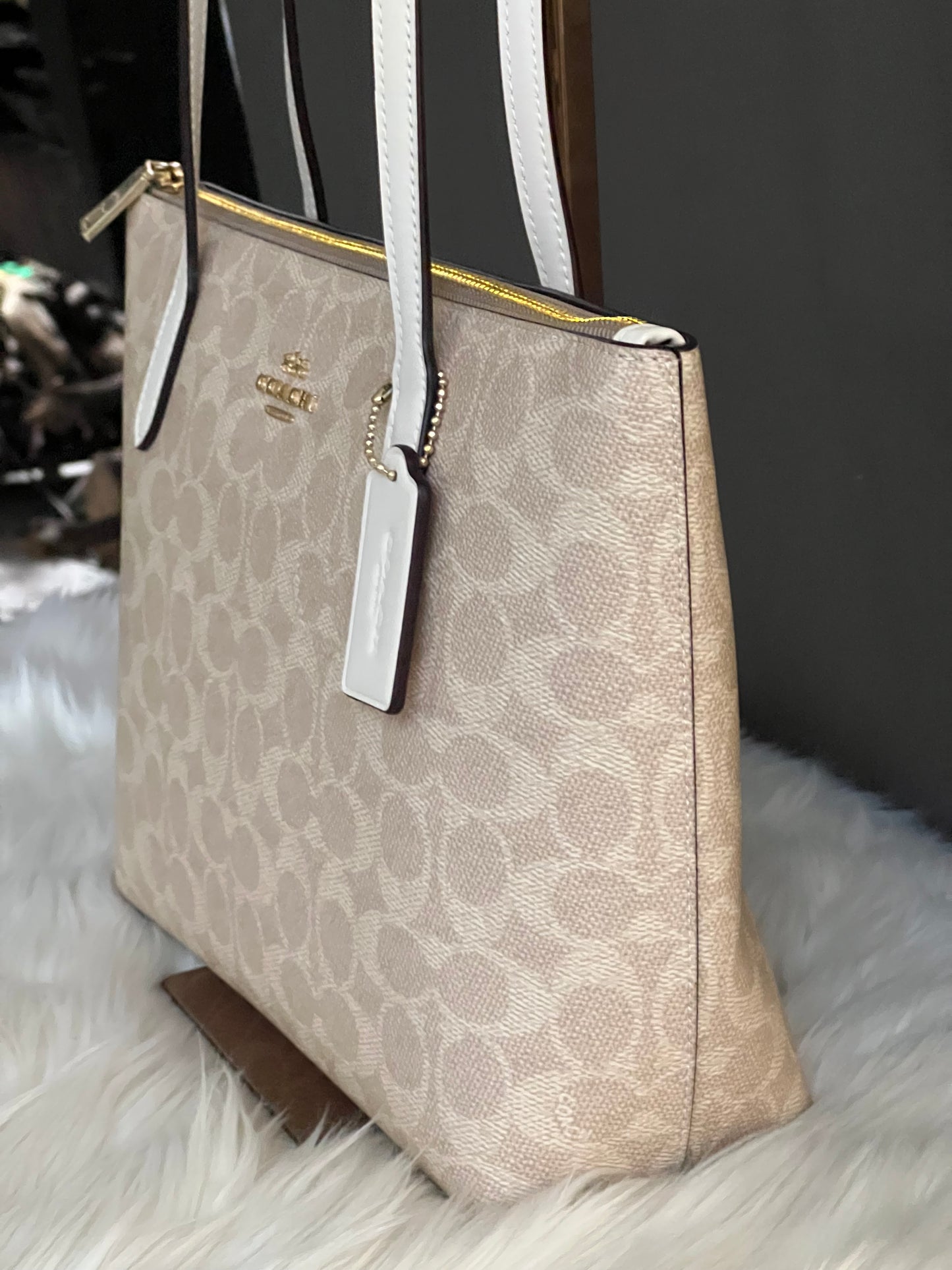 Coach Fiona Zip Tote Bag in Signature Canvas