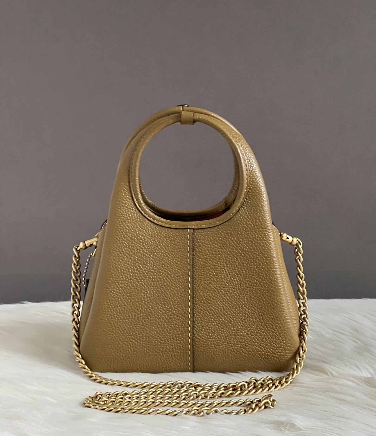 Coach Lana Shoulder Bag 19