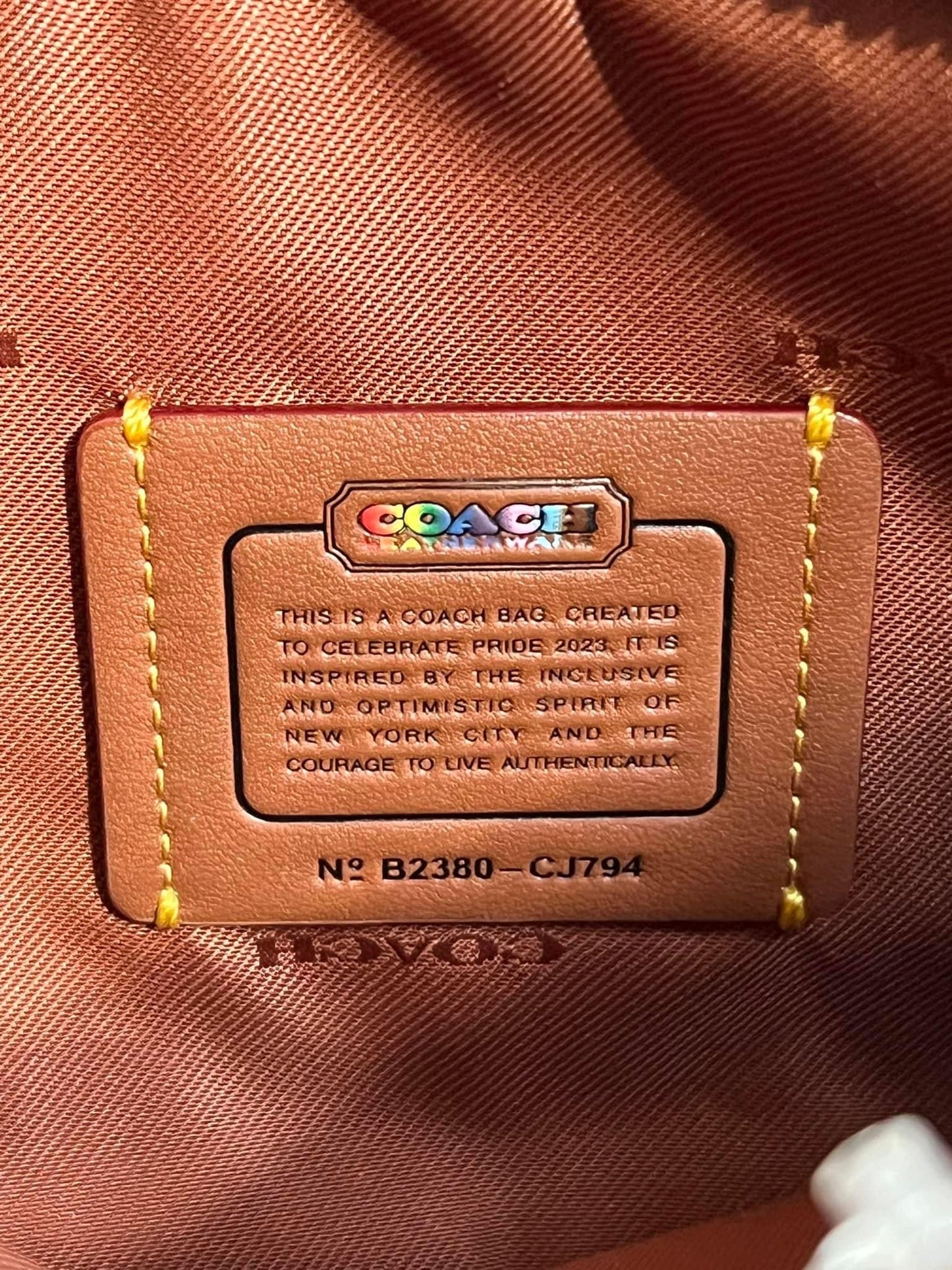 Coach Charter Crossbody with Hybrid Pouch with Rainbow