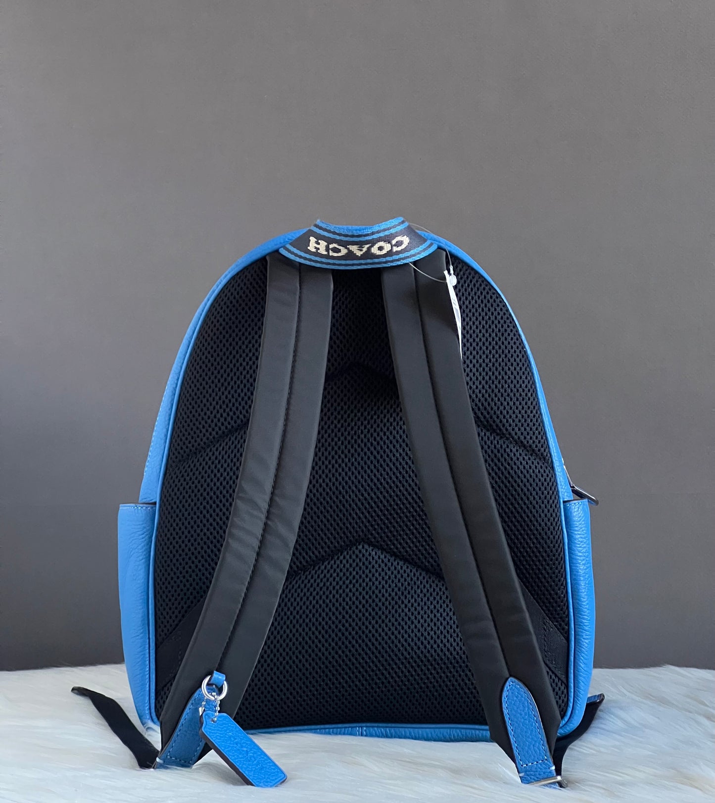 Coach Court Backpack In Signature Canvas