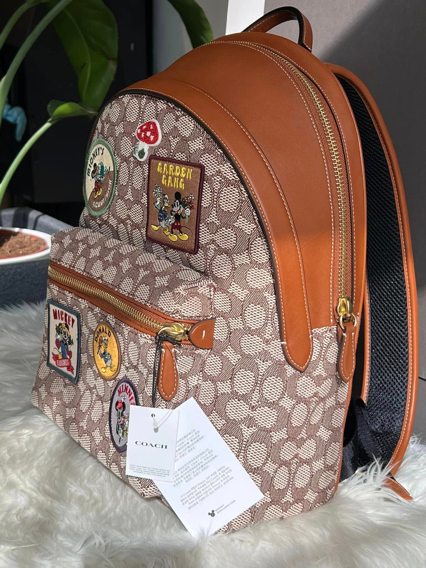 Disney X Coach Charter Backpack in Signature Textile Jacquard with Patches