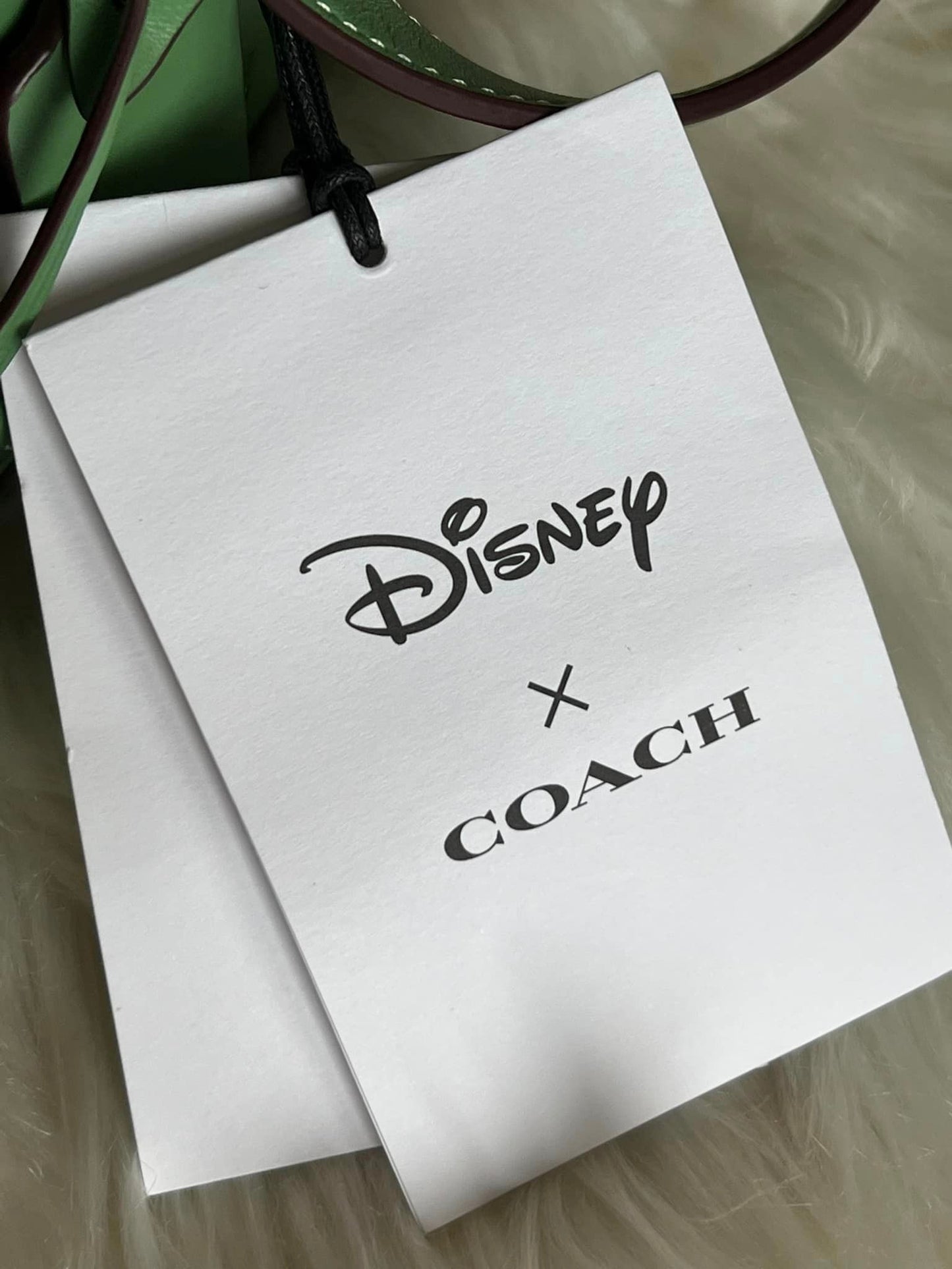 Disney X Coach Studio Shoulder Bag with Mickey Mouse and Watering Can