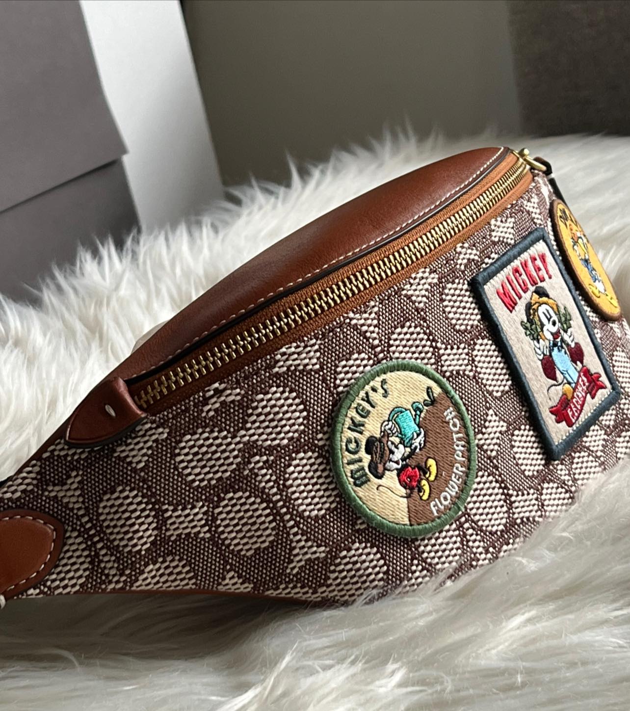 COACH×DISNEY CHARTER BELT BAG 7 IN SIGジップ開閉裏地付き