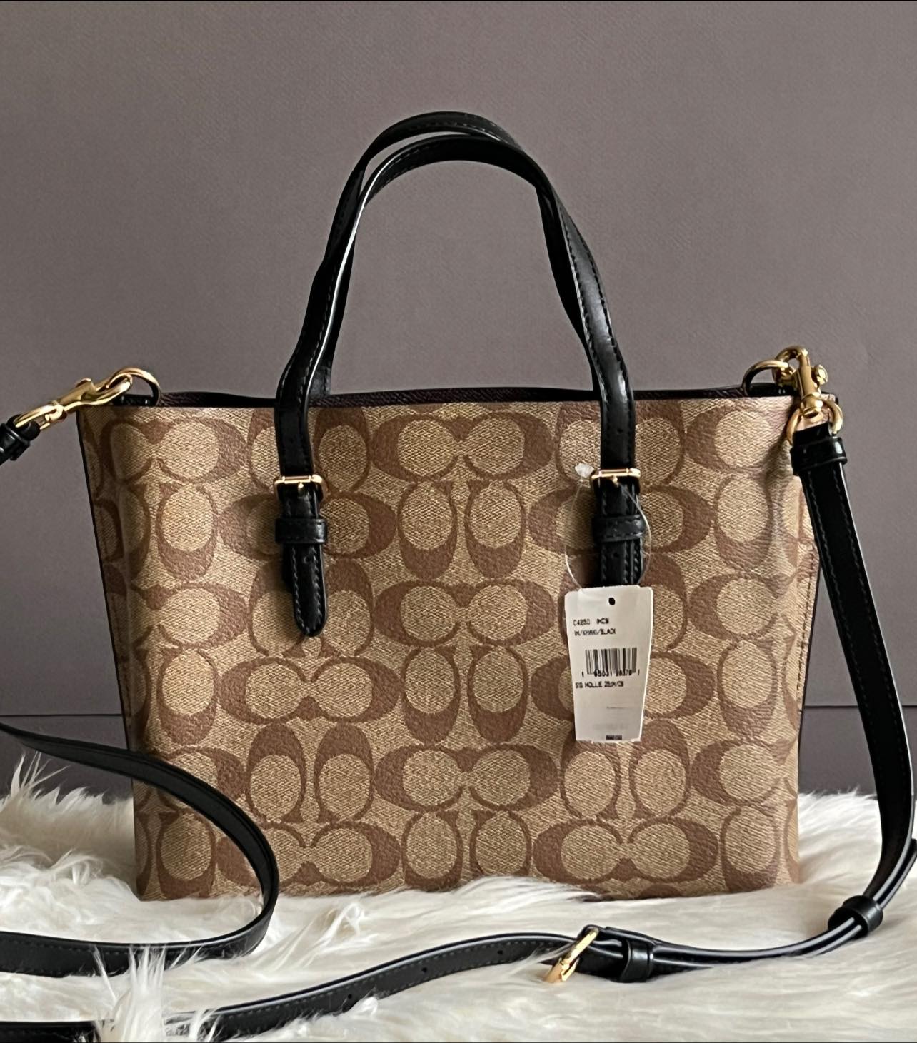 Coach Mollie Tote 25 in Signature Canvas