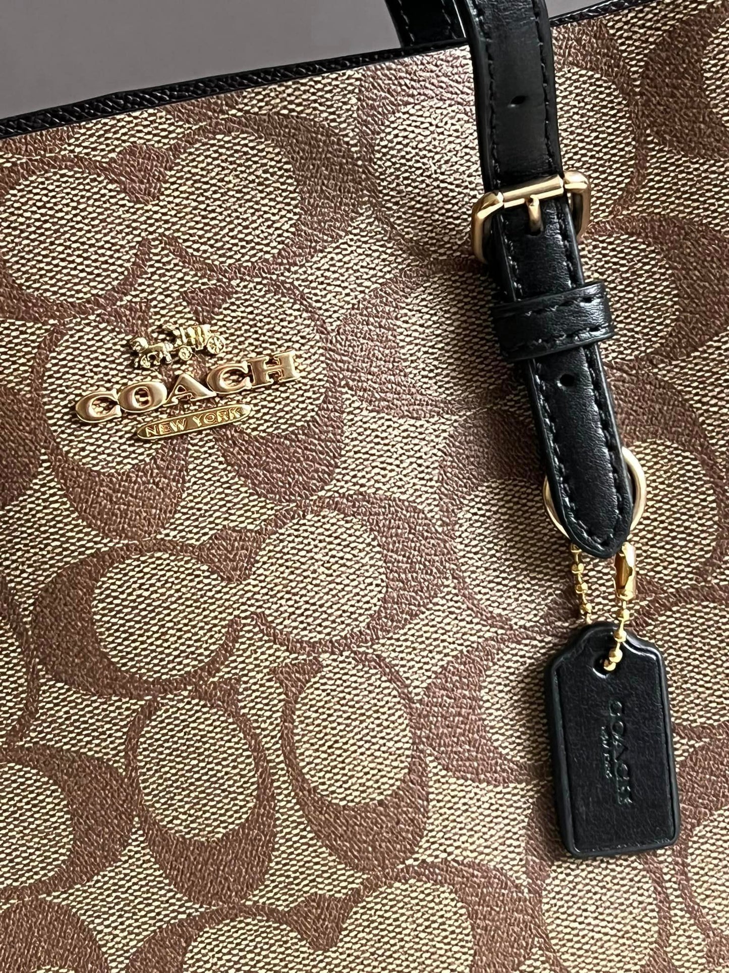 Coach Mollie Tote 25 in Signature Canvas