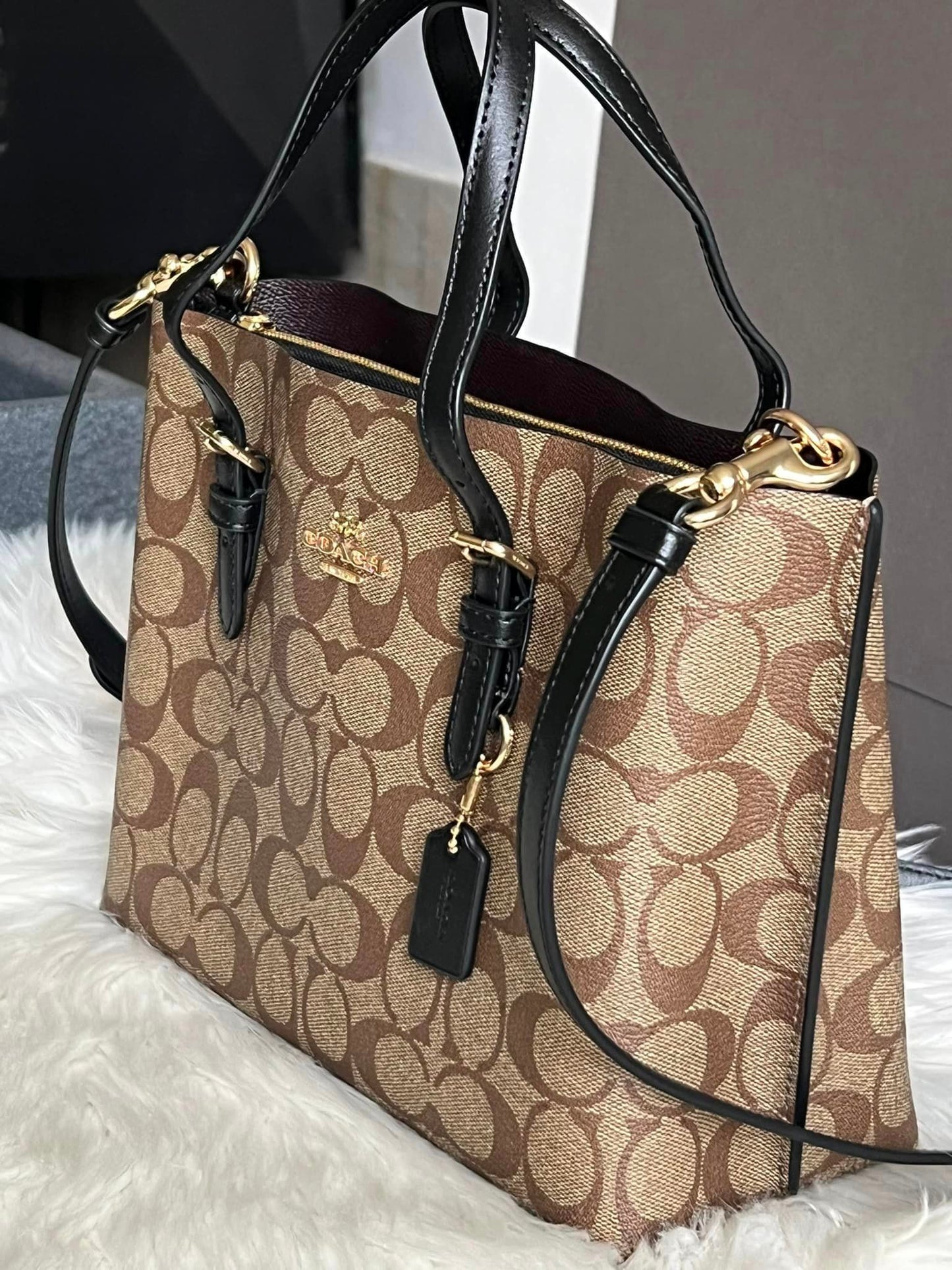 Coach Mollie Tote 25 in Signature Canvas