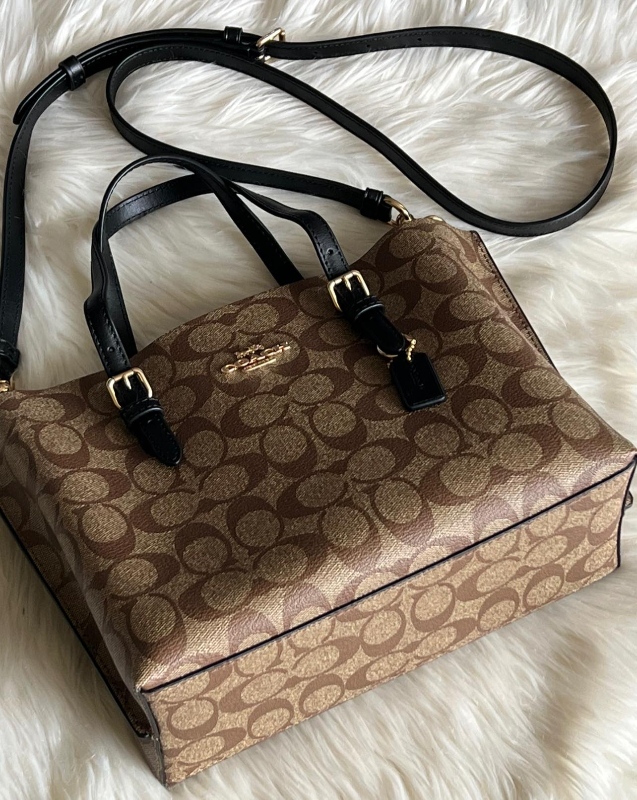 Coach Mollie Tote 25 in Signature Canvas