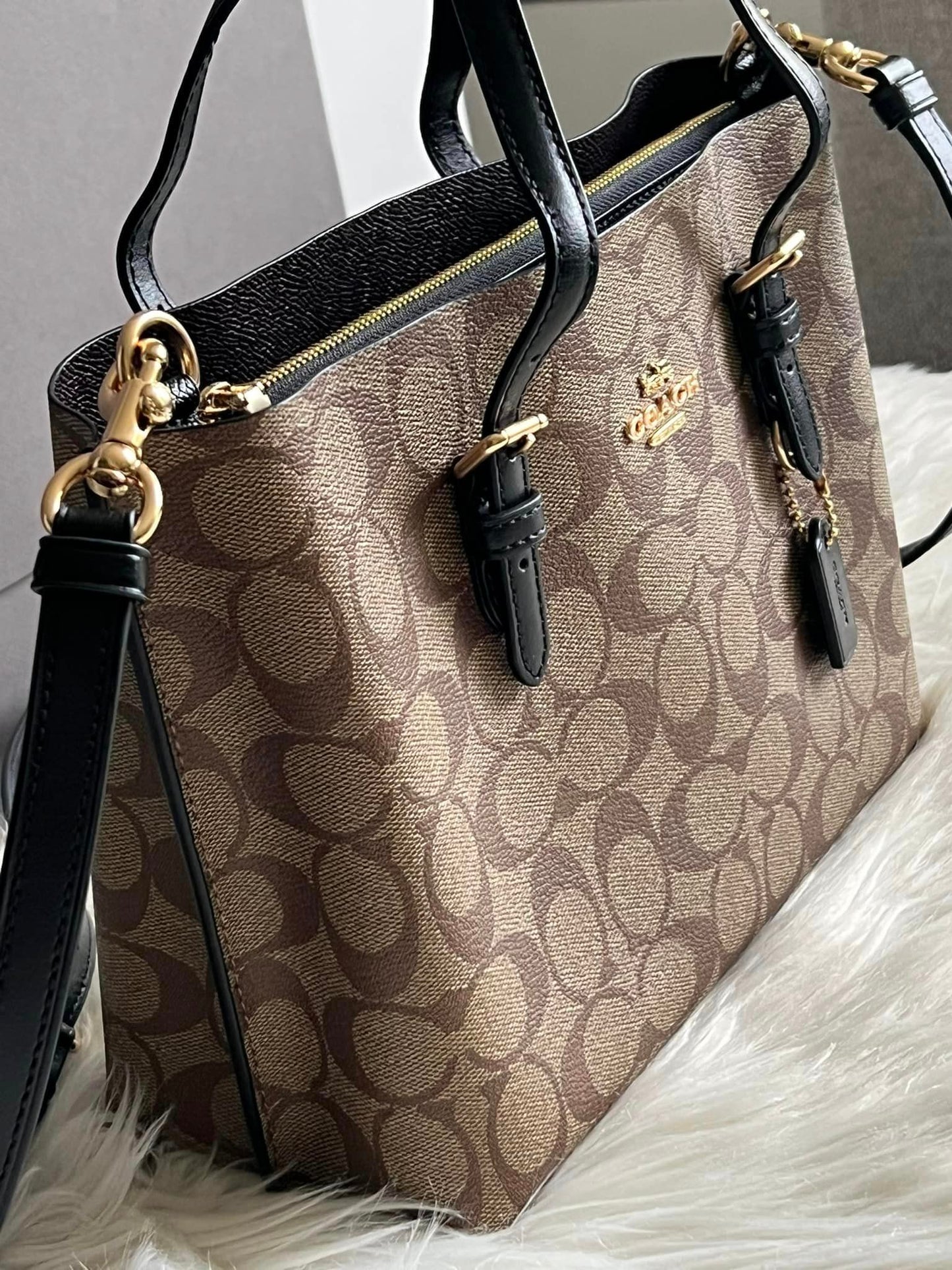 Coach Mollie Tote 25 in Signature Canvas