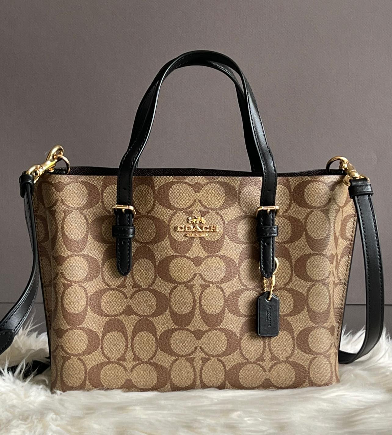 Coach Mollie Tote 25 in Signature Canvas