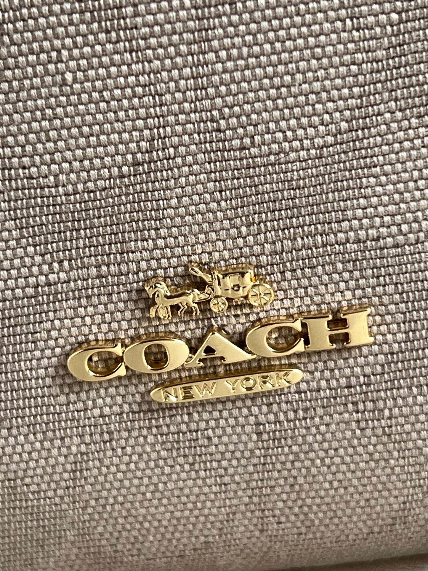 Coach Hadley Mini Crossbody