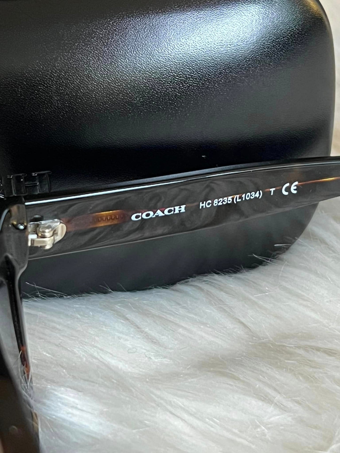 Coach Leroy Sunglasses