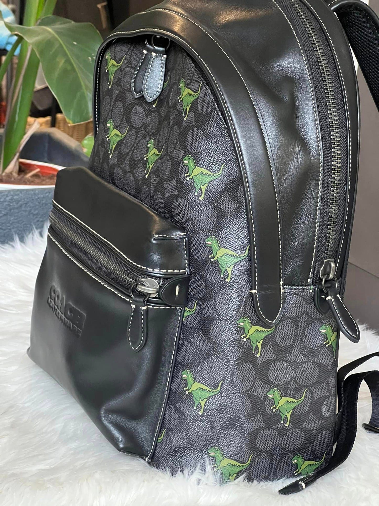 Coach Charter Backpack In Signature Canvas with Rexy Print